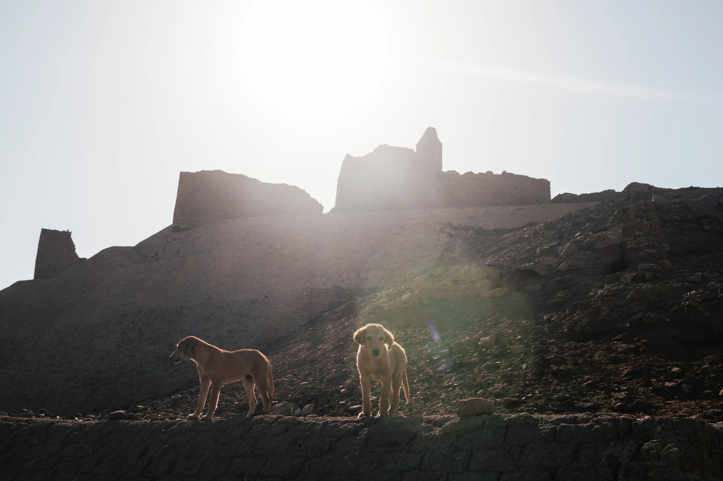 Egypt-Day5 (3 of 33).jpg