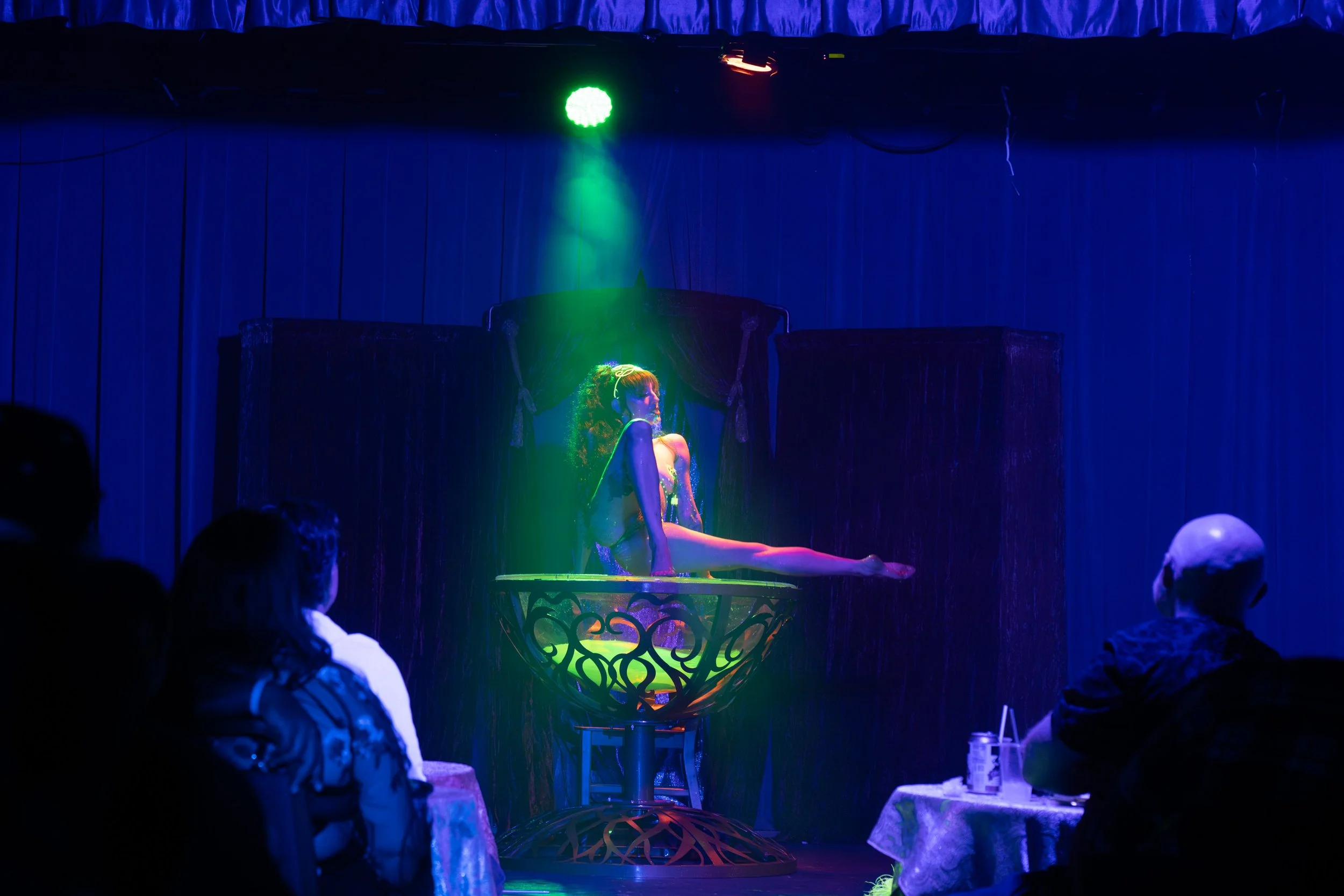 2026-Feb-Nouvelle-Follies (106 of 135).jpg