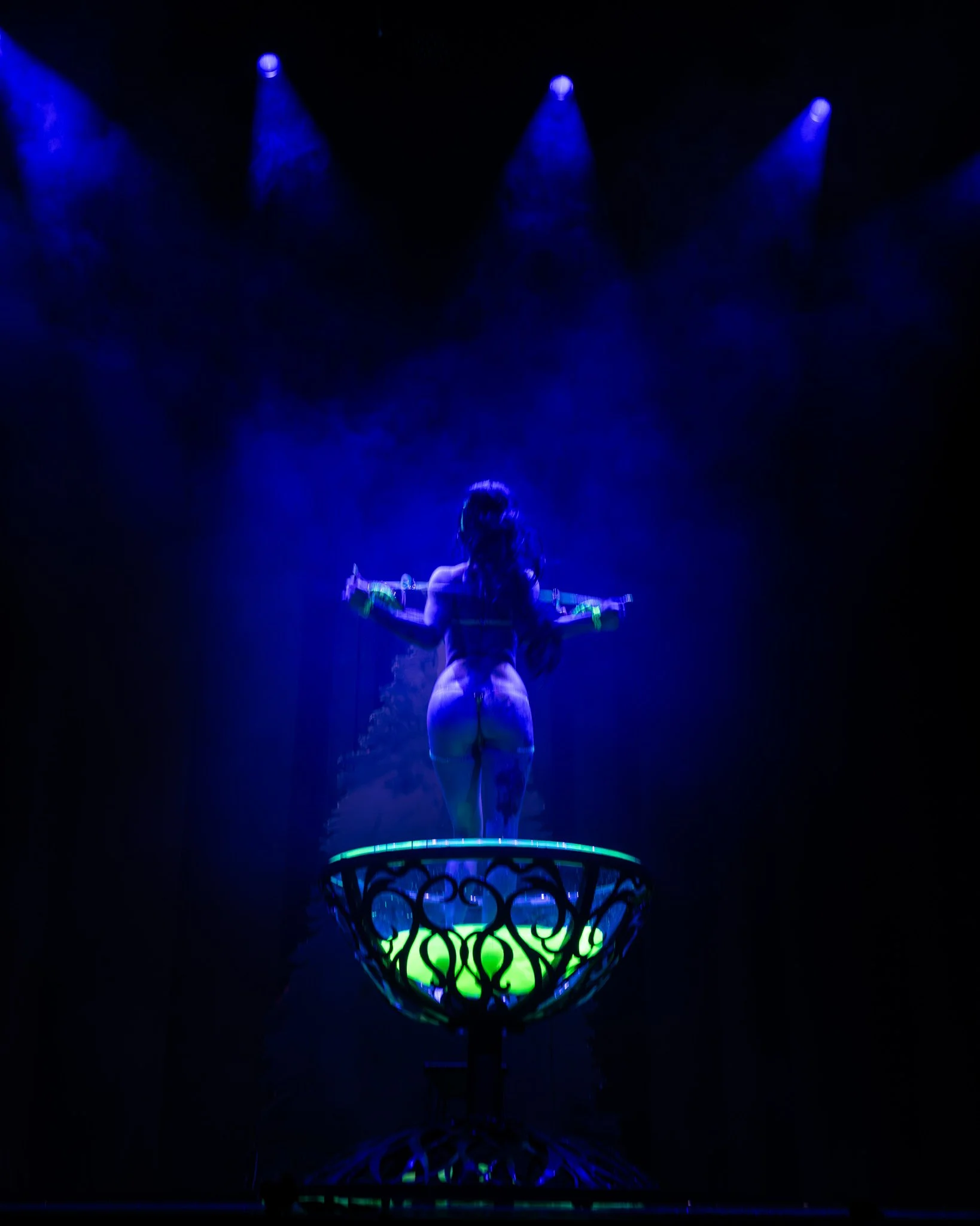 2025-Dec-NutCrackerExotic (255 of 268).jpg