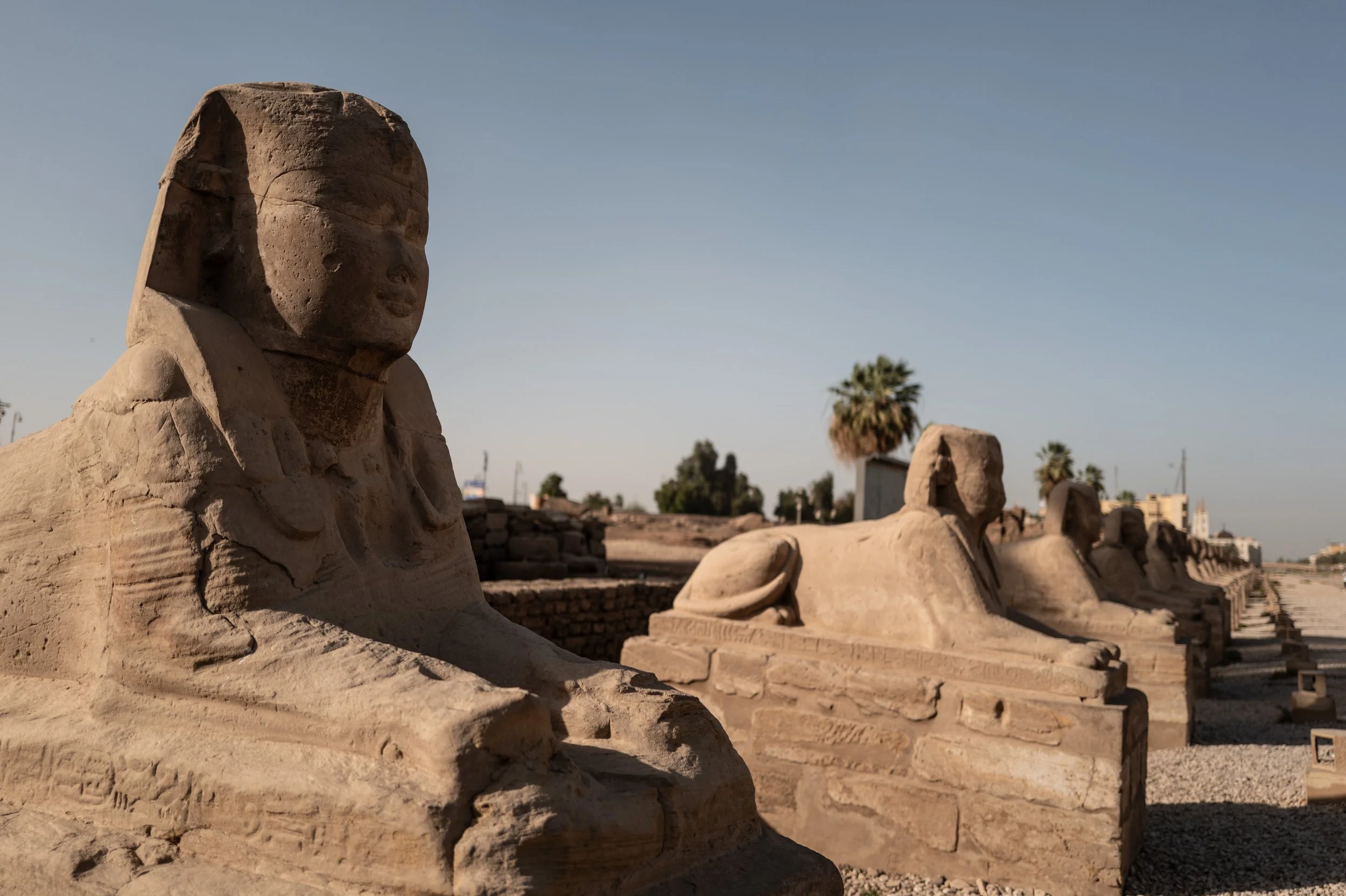 Egypt-Day3 (25 of 52).jpg