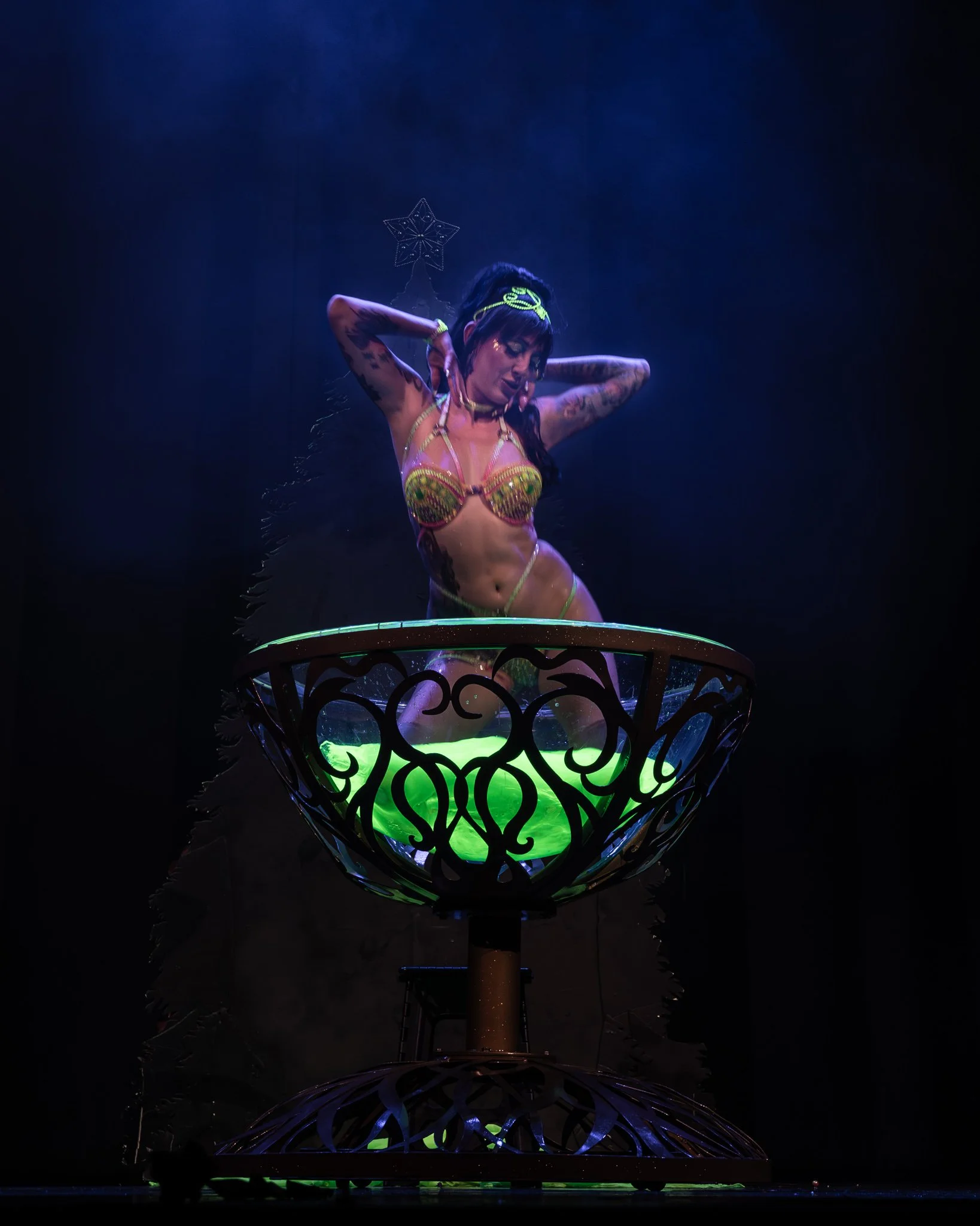 2025-Dec-NutCrackerExotic (254 of 268).jpg