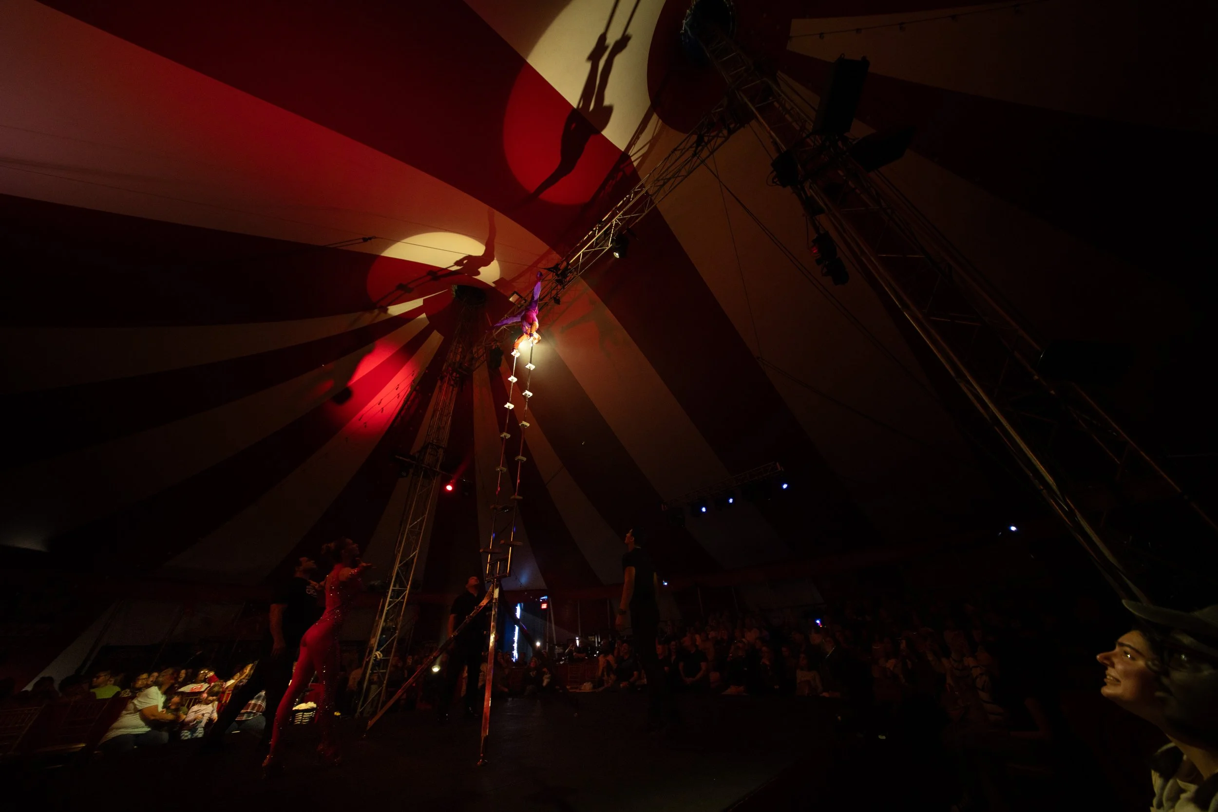 2024 - Huntsville - Venardos Circus  (208 of 316).jpg