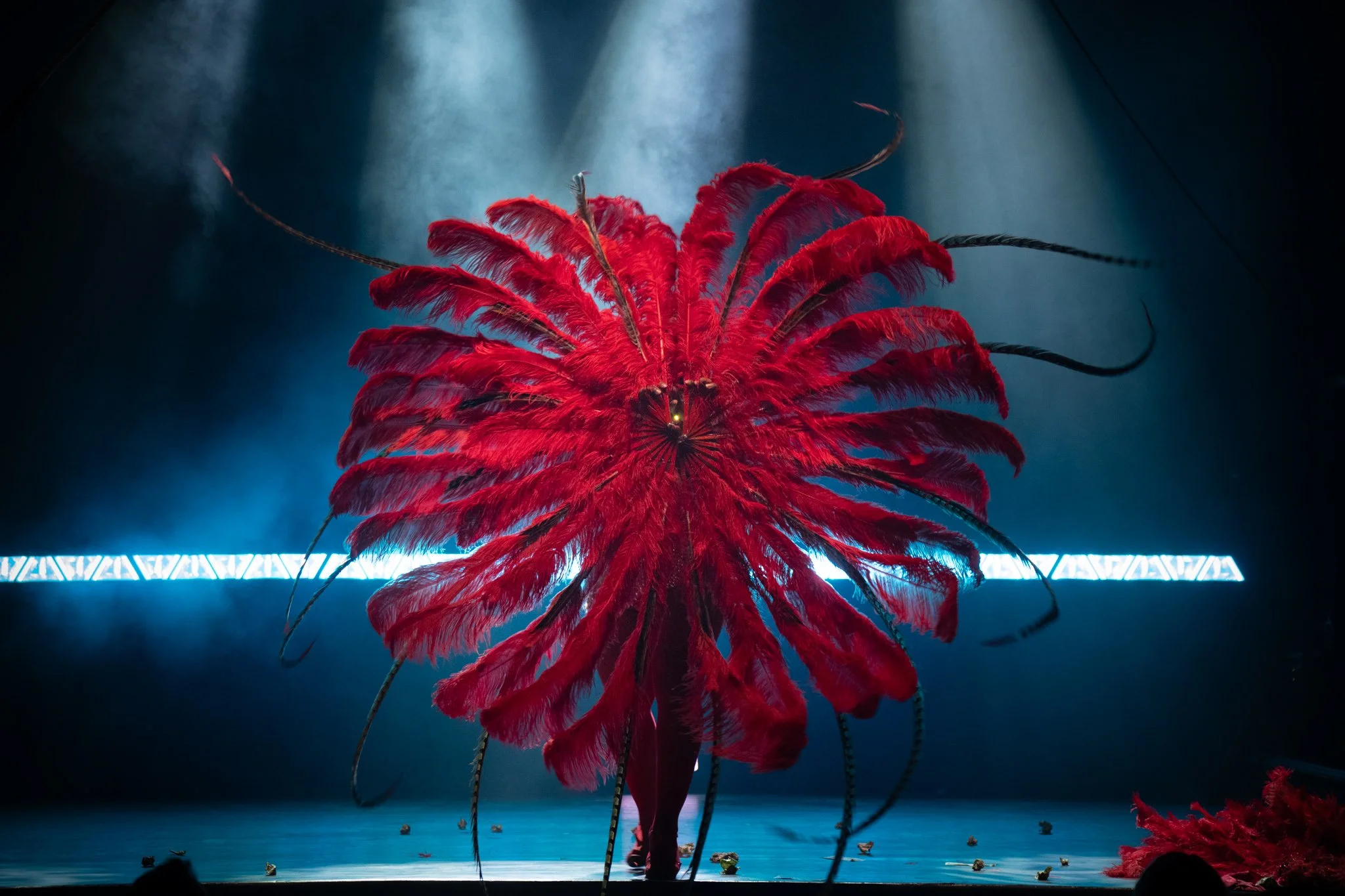 2025-Dec-FreakShowPeepShow (127 of 197).jpg