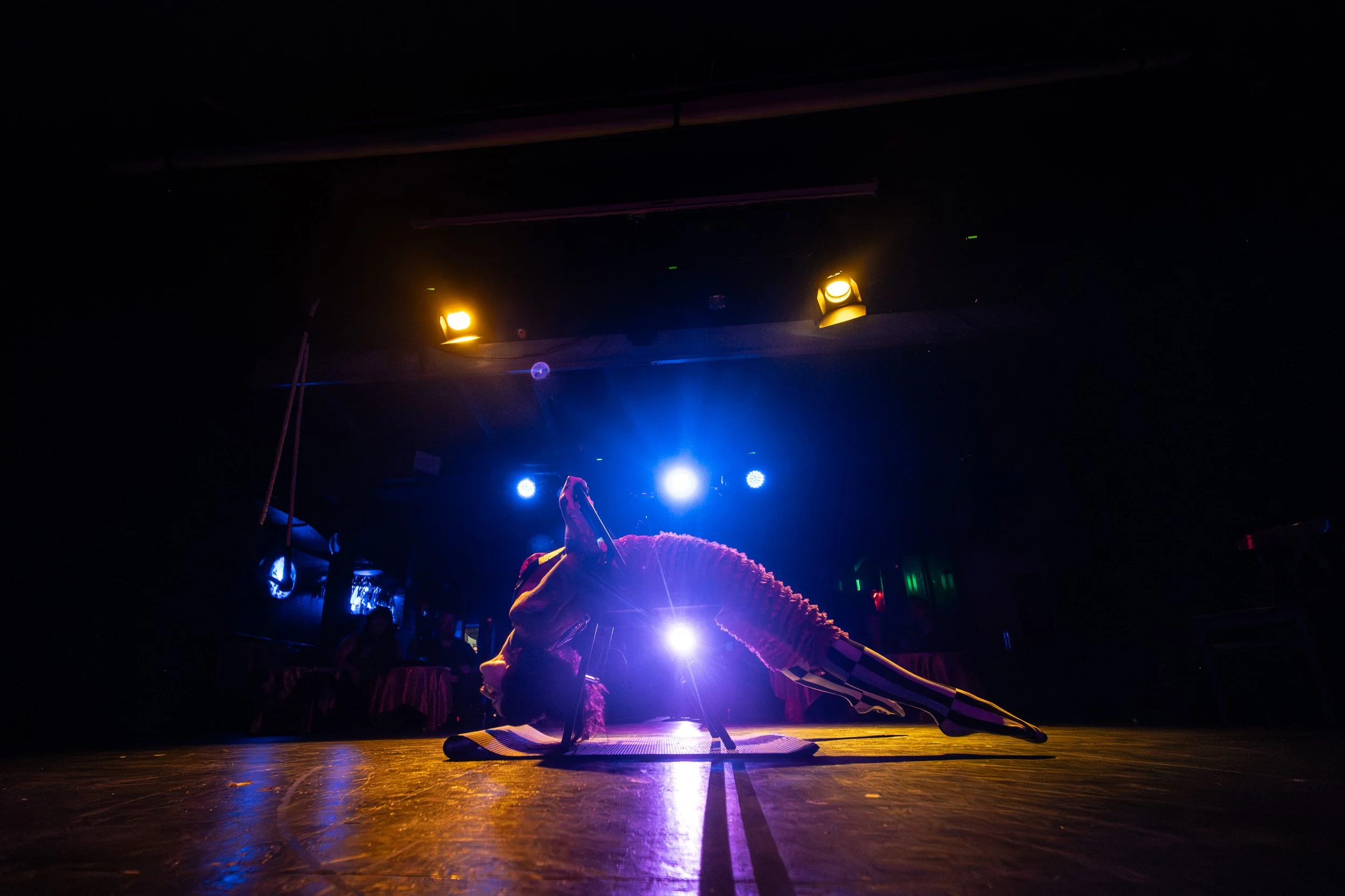 2026-March-AfterCircus (36 of 301).jpg