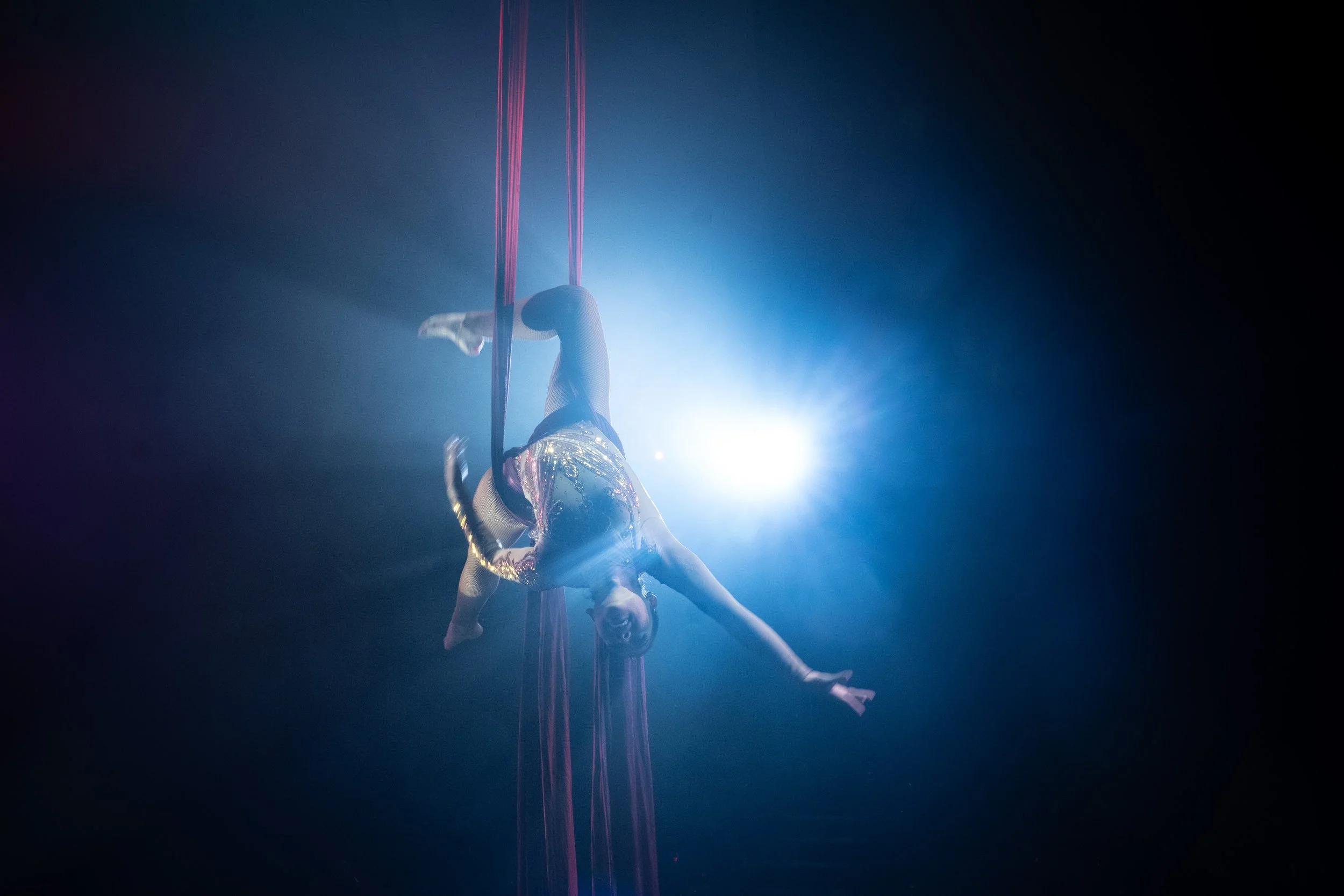 2024 - Huntsville - Venardos Circus  (312 of 316).jpg