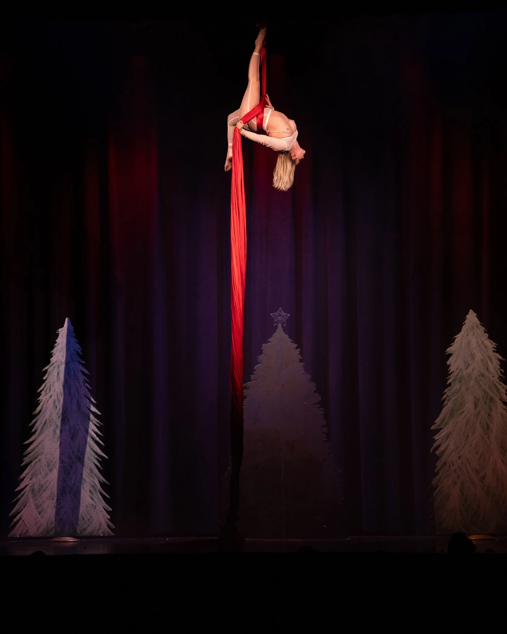 2025-Dec-NutCrackerExotic (134 of 268).jpg