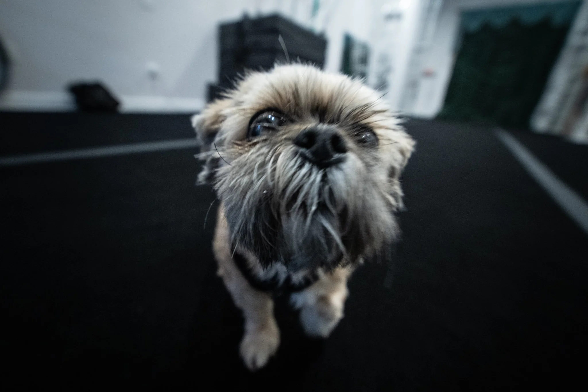 LadyBeastStudios (3 of 171).jpg