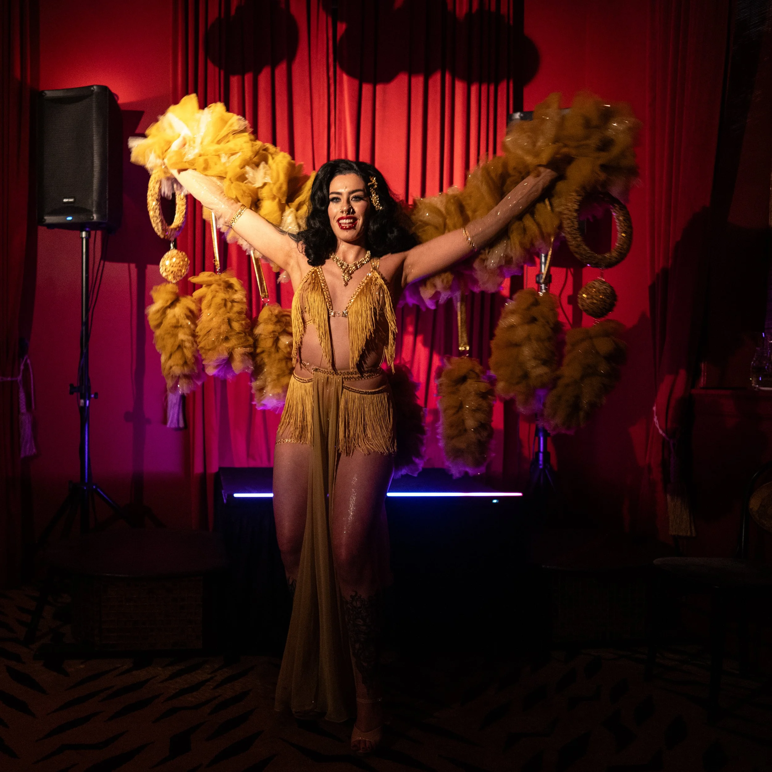 2026-Teaser-1. Chamgane Gala-3. Countess Wednesday (2 of 27).jpg