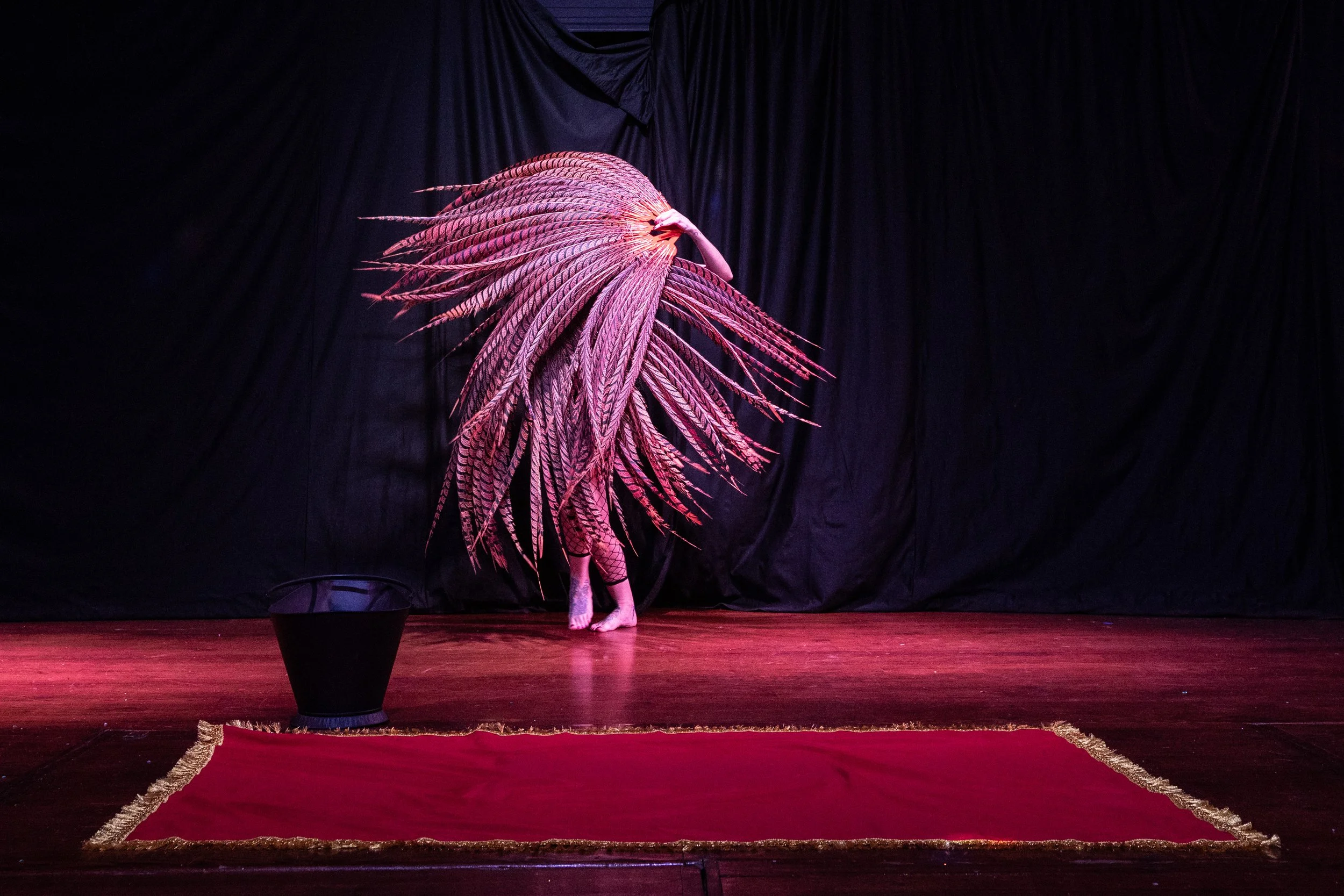 2026-Brass-and-Bones-Circus-Finals (152 of 215).jpg