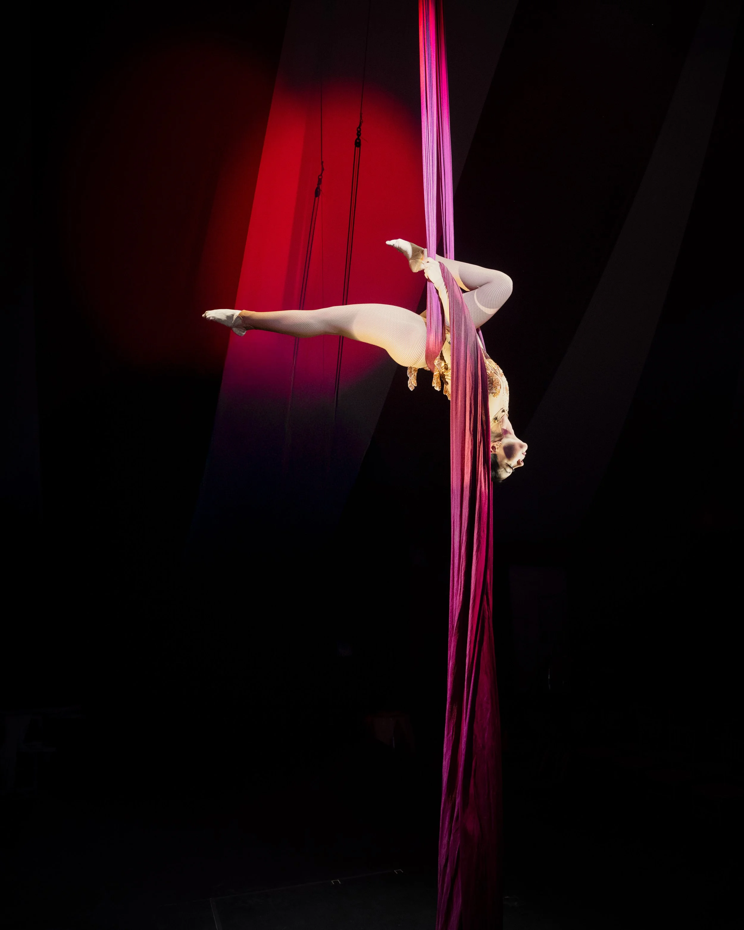 2024 - Huntsville - Venardos Circus  (305 of 316).jpg