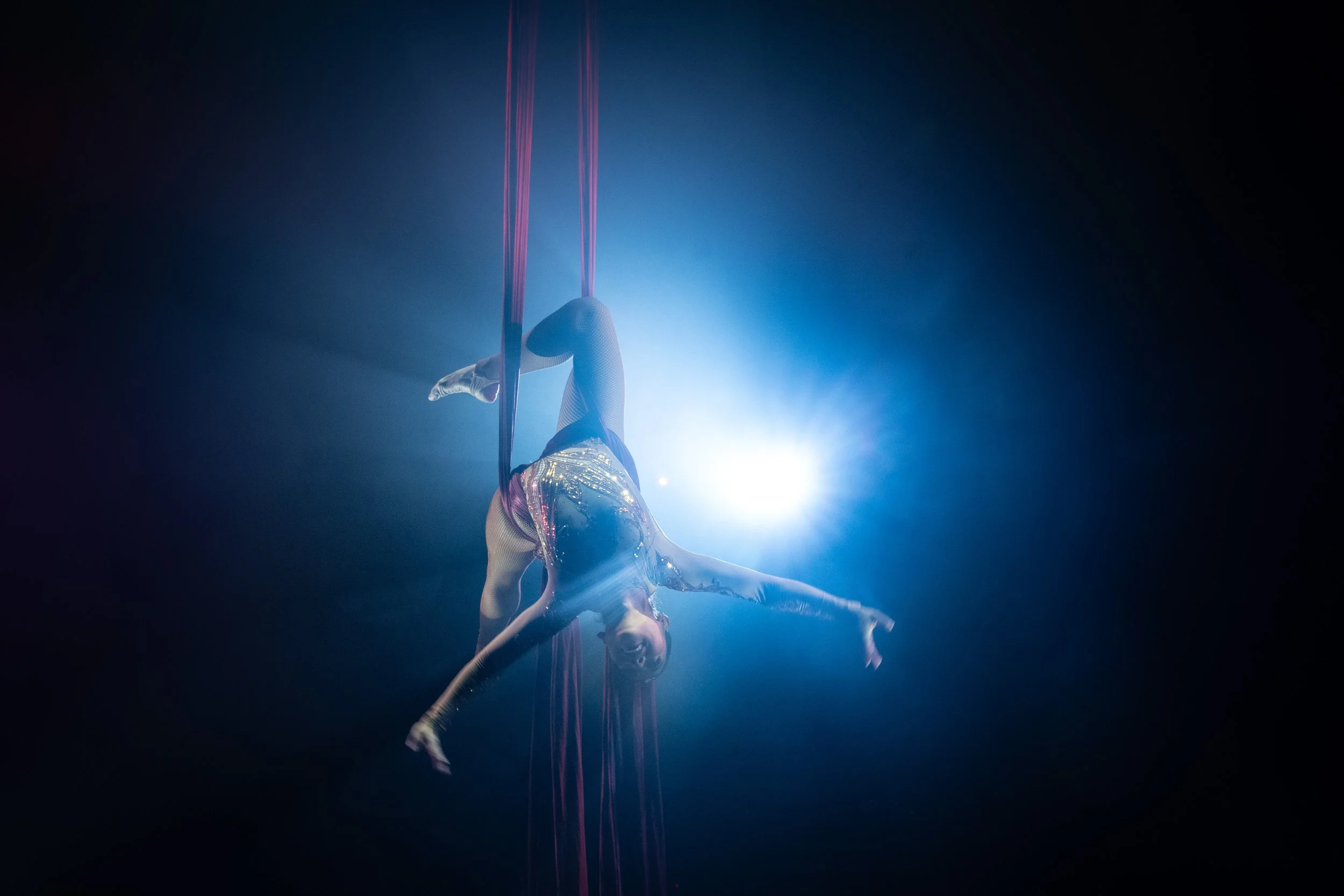 2024 - Huntsville - Venardos Circus  (311 of 316).jpg