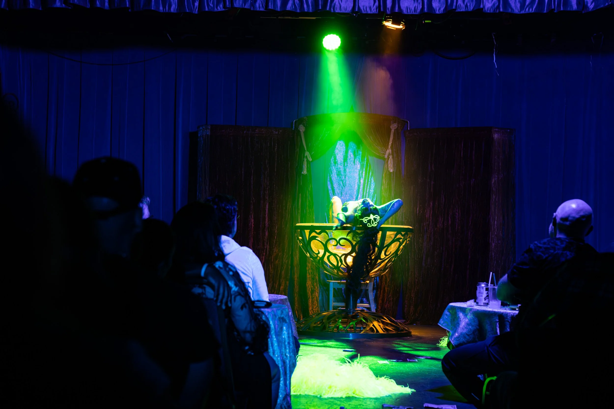 2026-Feb-Nouvelle-Follies (91 of 135).jpg