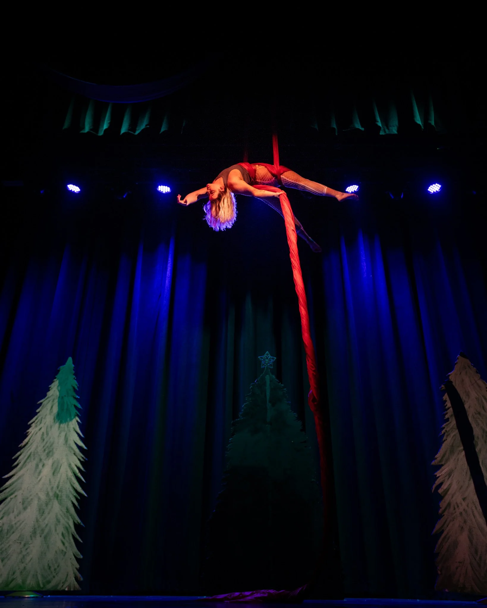 2025-Dec-NutCrackerExotic (36 of 197).jpg