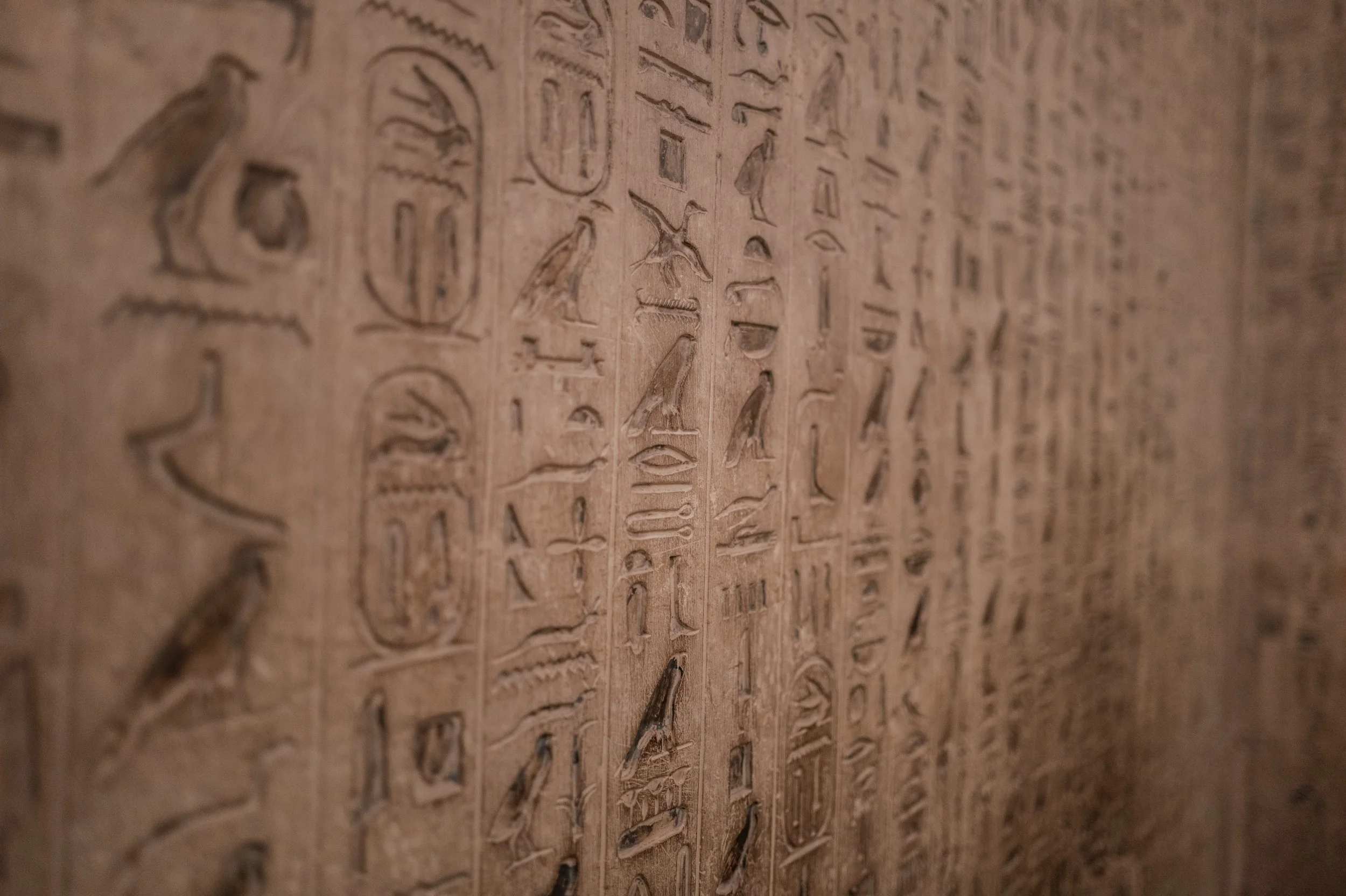 Egypt-Day1 (12 of 28).jpg