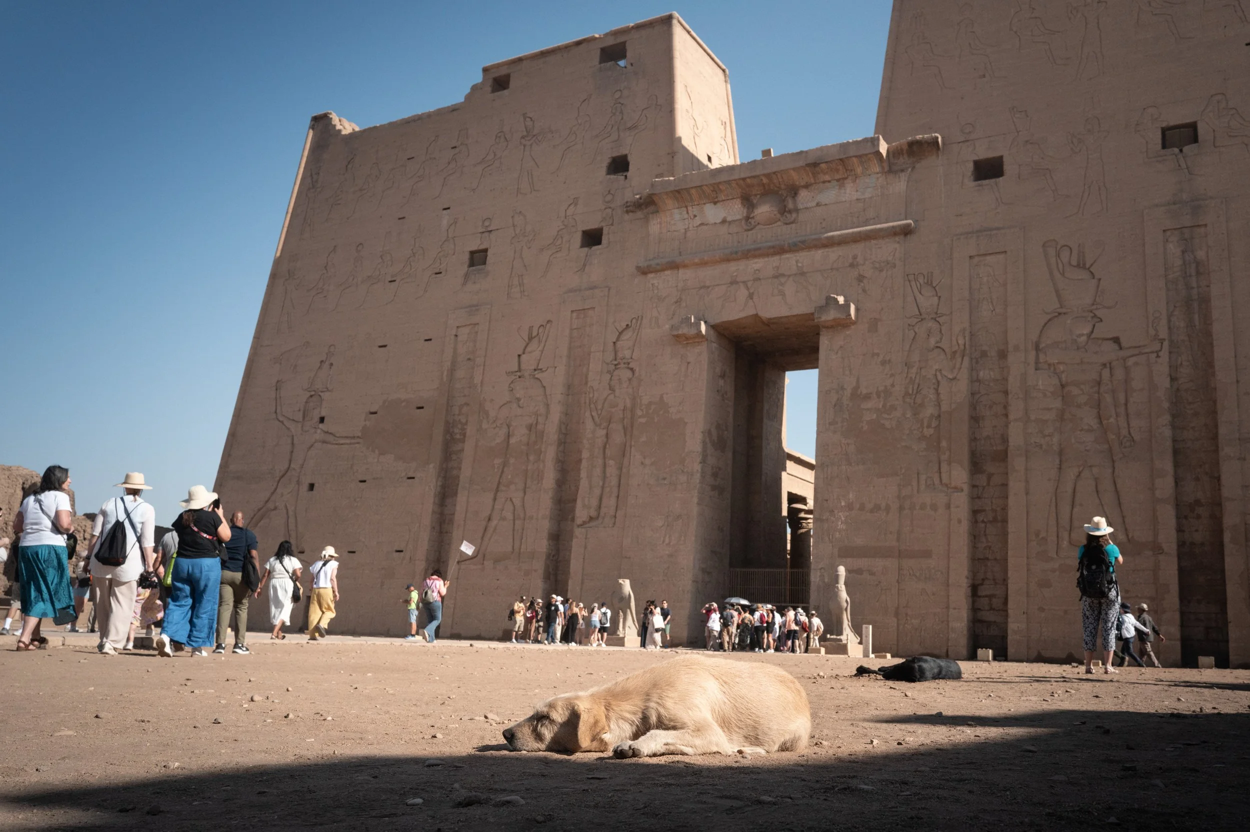 Egypt-Day5 (7 of 33).jpg