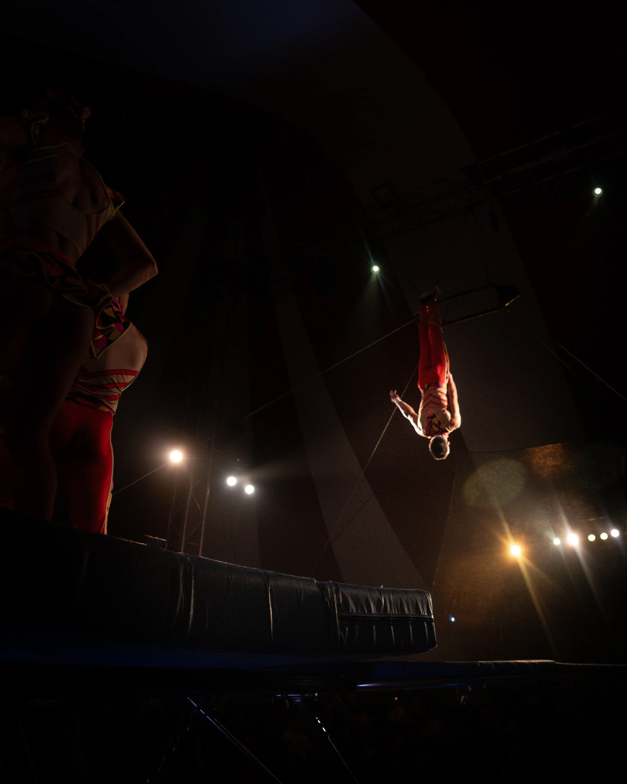 2024 - Huntsville - Venardos Circus  (211 of 316).jpg