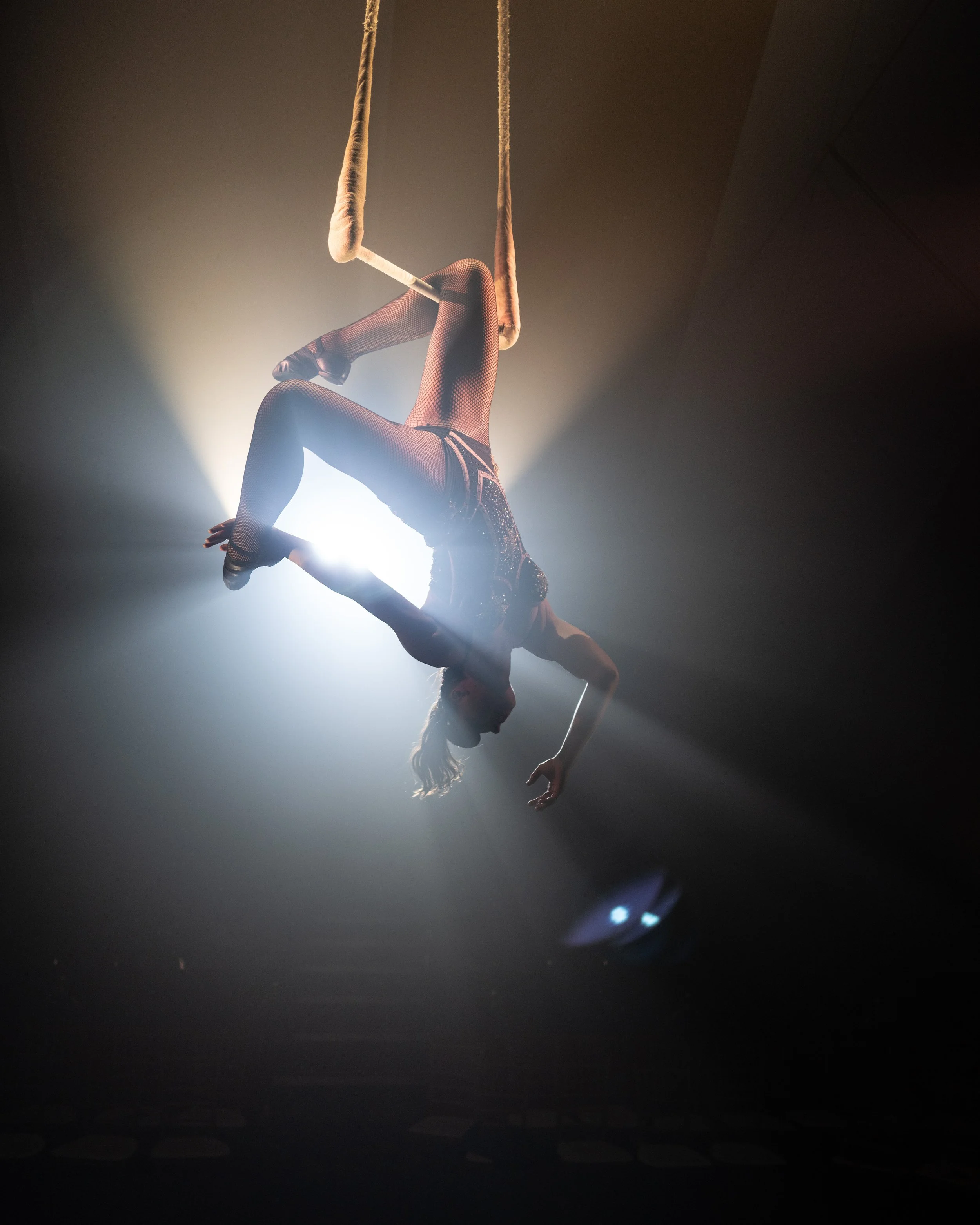 2024 - Huntsville - Venardos Circus  (315 of 316).jpg