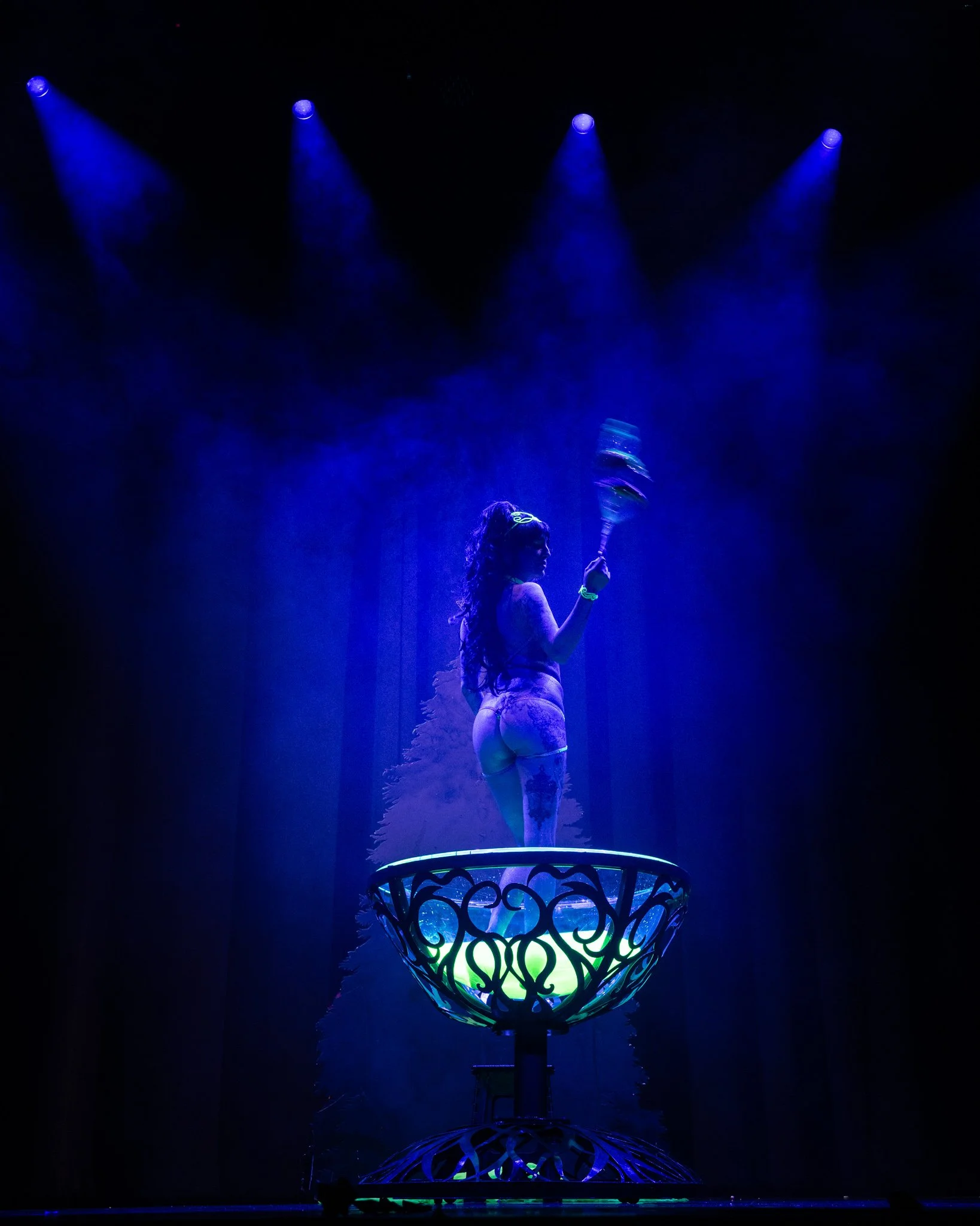 2025-Dec-NutCrackerExotic (256 of 268).jpg