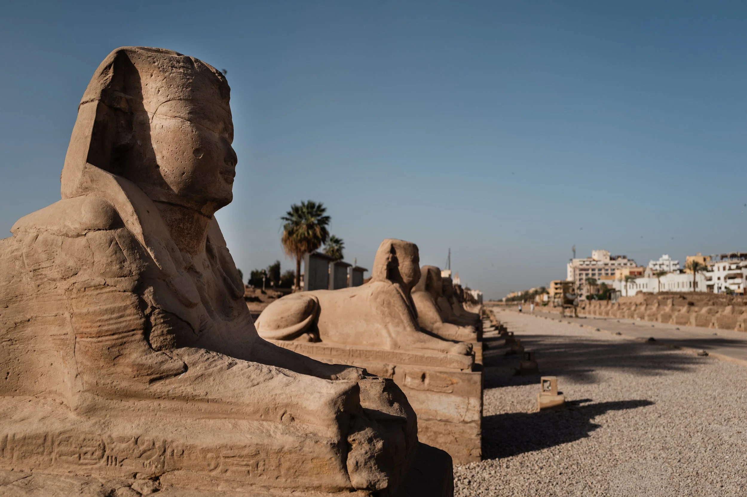 Egypt-Day3 (24 of 52).jpg