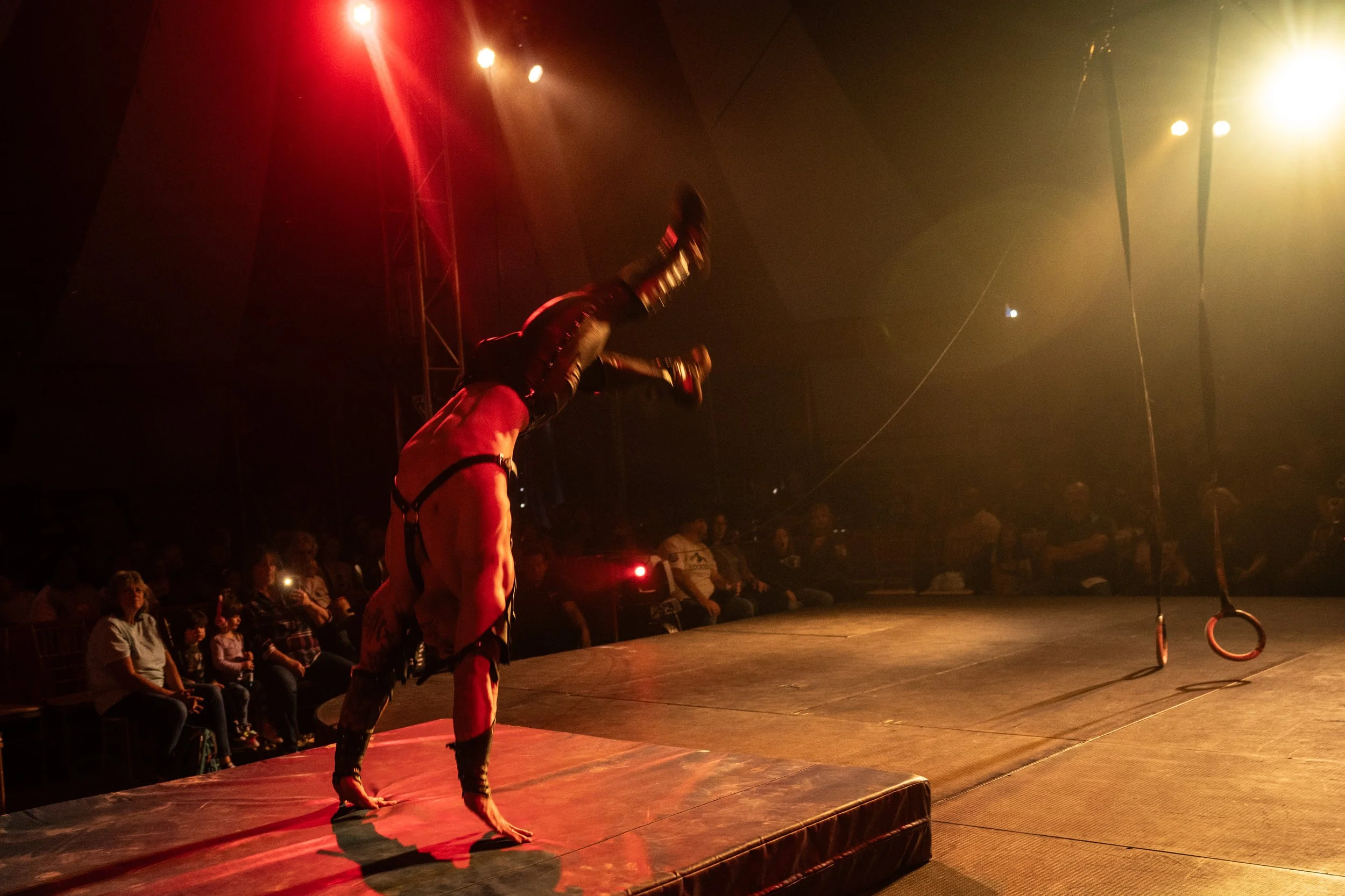 2024 - Huntsville - Venardos Circus  (204 of 316).jpg