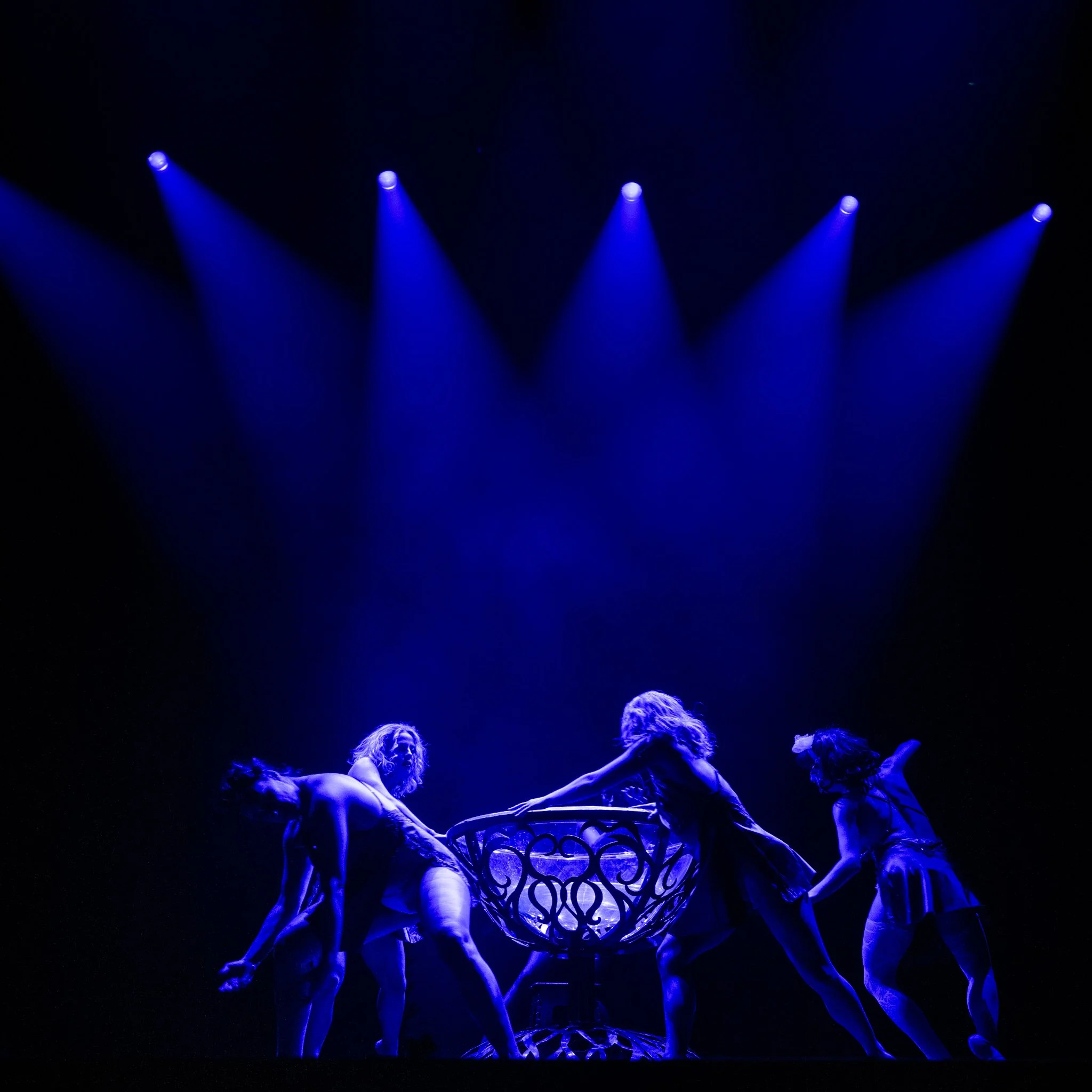 2025-Dec-NutCrackerExotic (242 of 268).jpg