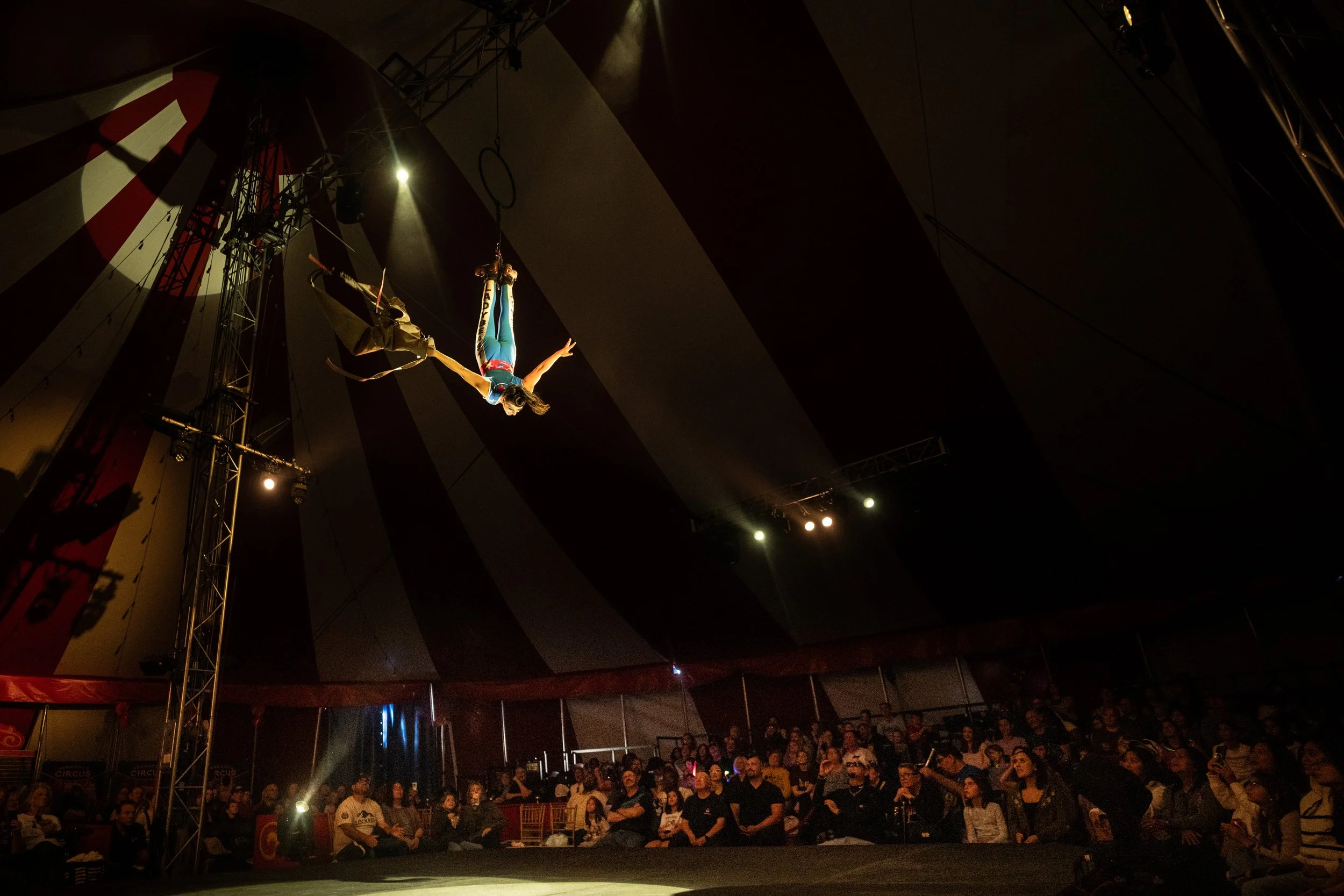 2024 - Huntsville - Venardos Circus  (219 of 316).jpg