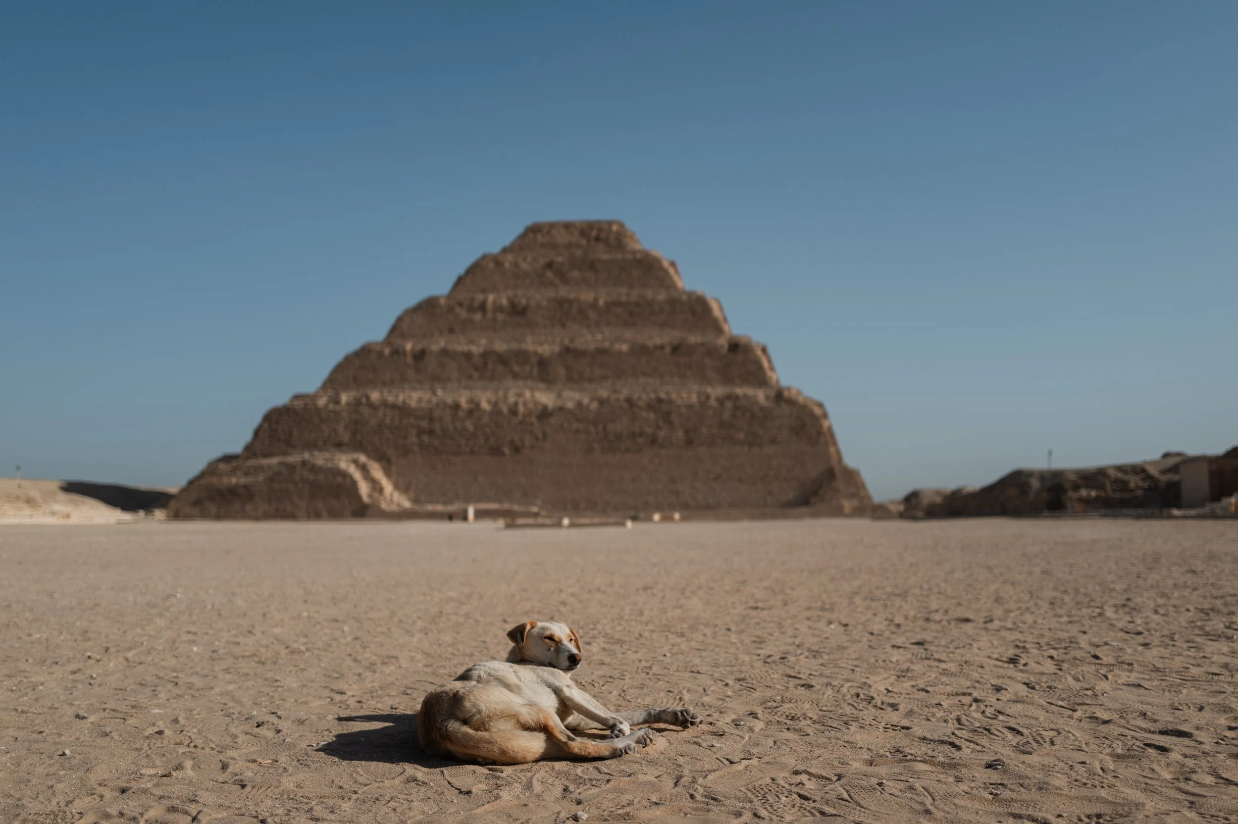 Egypt-Day1 (4 of 28).jpg