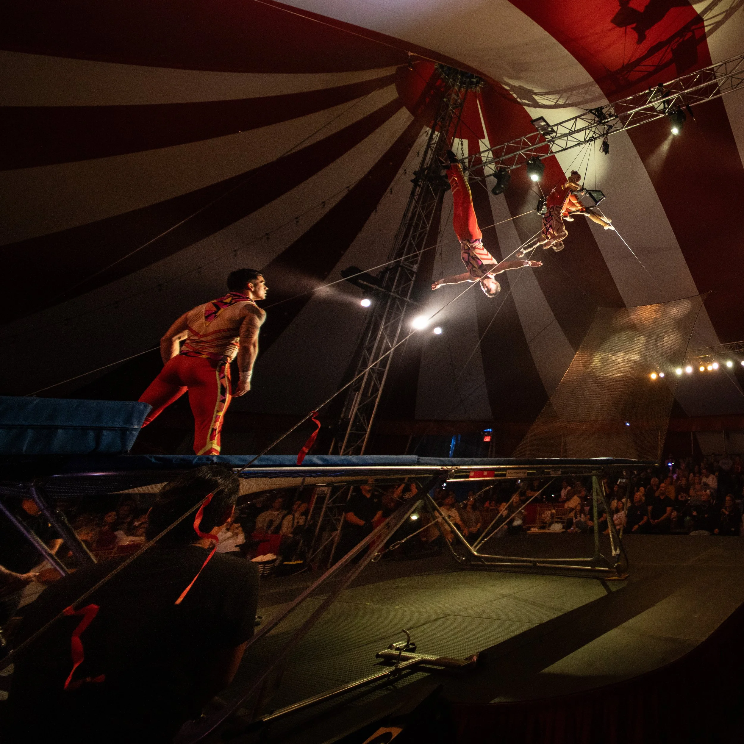 2024 - Huntsville - Venardos Circus  (217 of 316).jpg