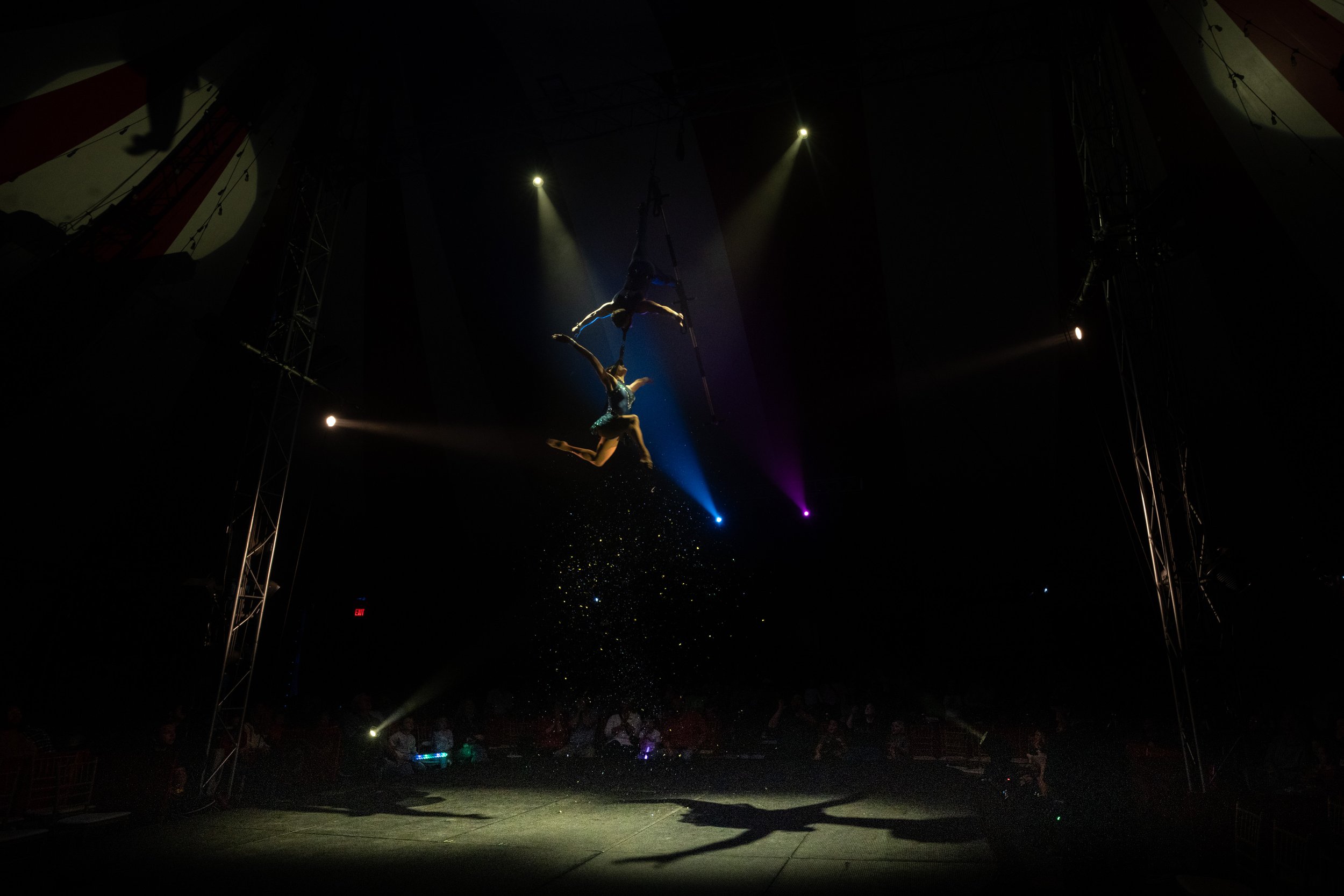 2024 - Huntsville - Venardos Circus  (177 of 316).jpg