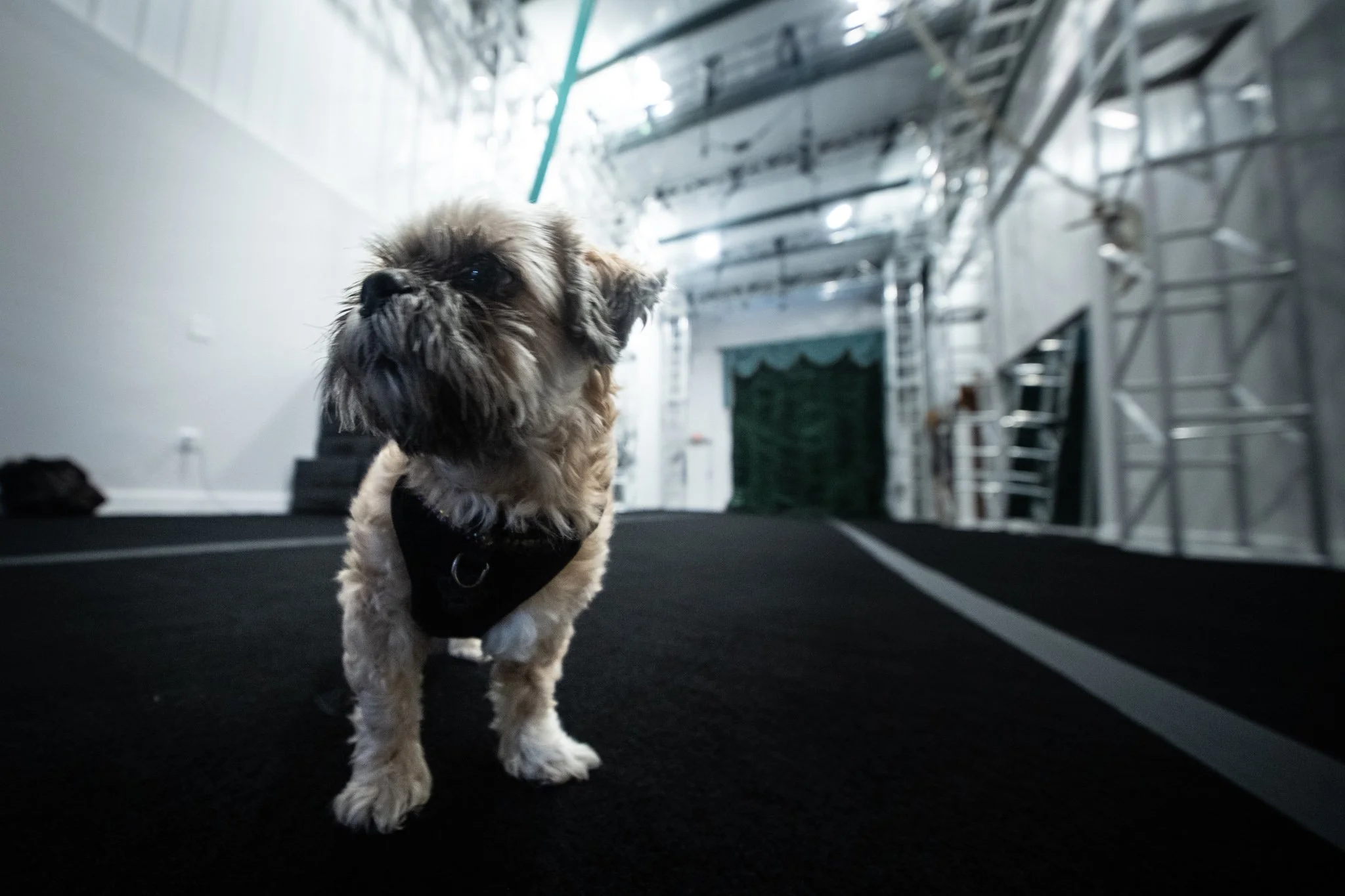 LadyBeastStudios (4 of 171).jpg