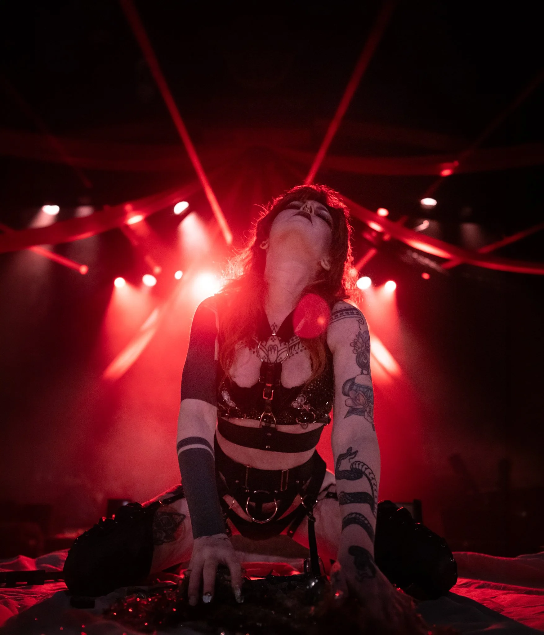 2026-Jan-NoRingCircus-Show (178 of 277).jpg