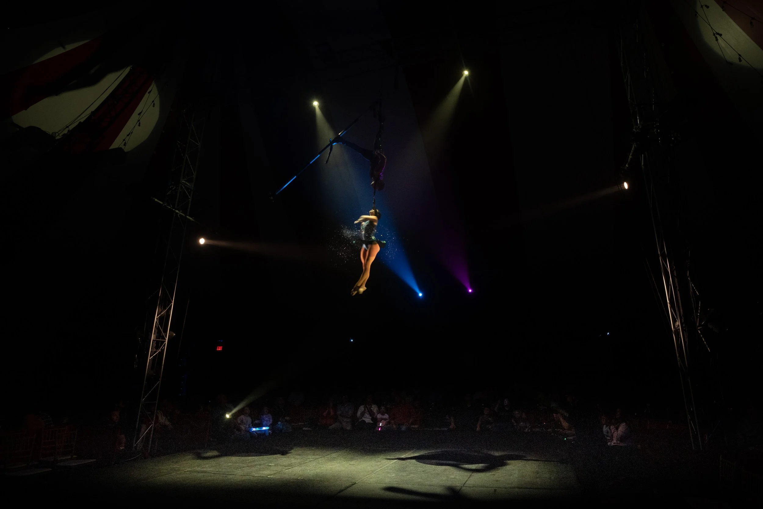 2024 - Huntsville - Venardos Circus  (175 of 316).jpg