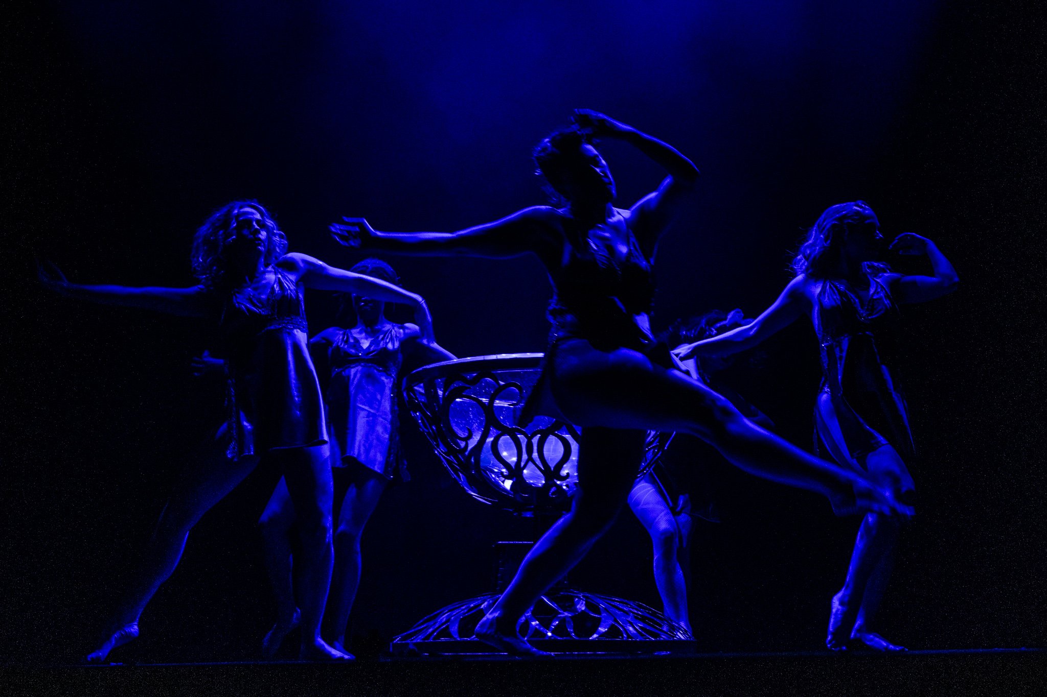 2025-Dec-NutCrackerExotic (243 of 268).jpg