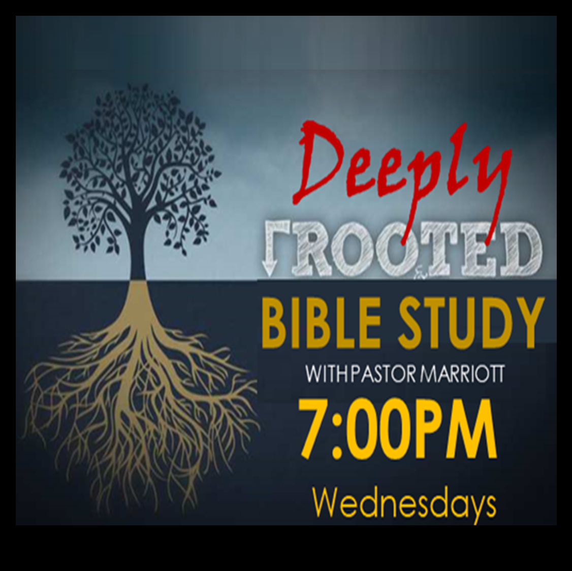 Deeply Rooted Bible Study