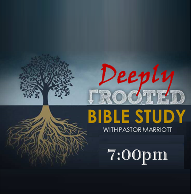 Deeply Rooted Bible Study