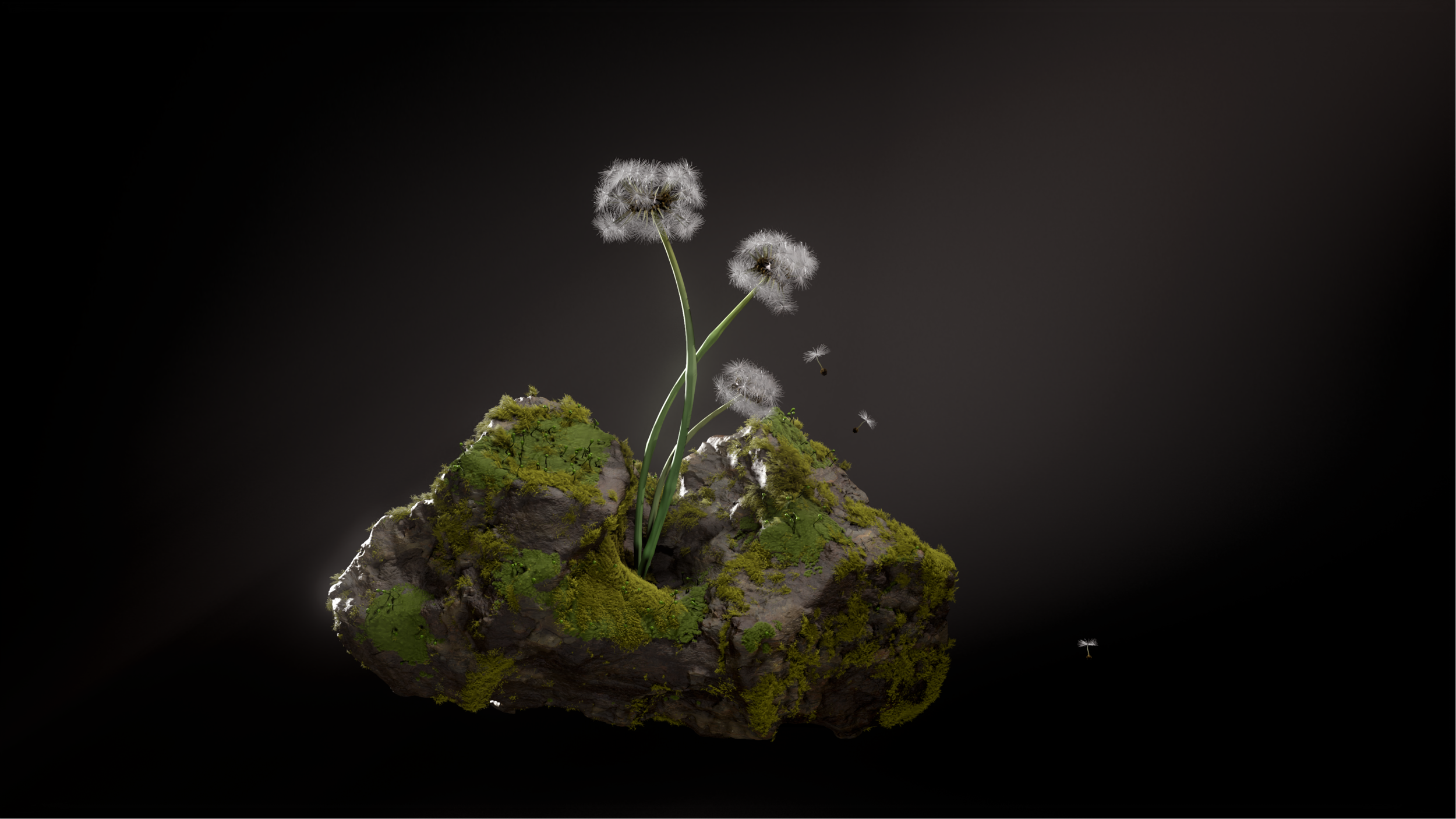 Render_Rock_Dandelions_4kp_compressed.png