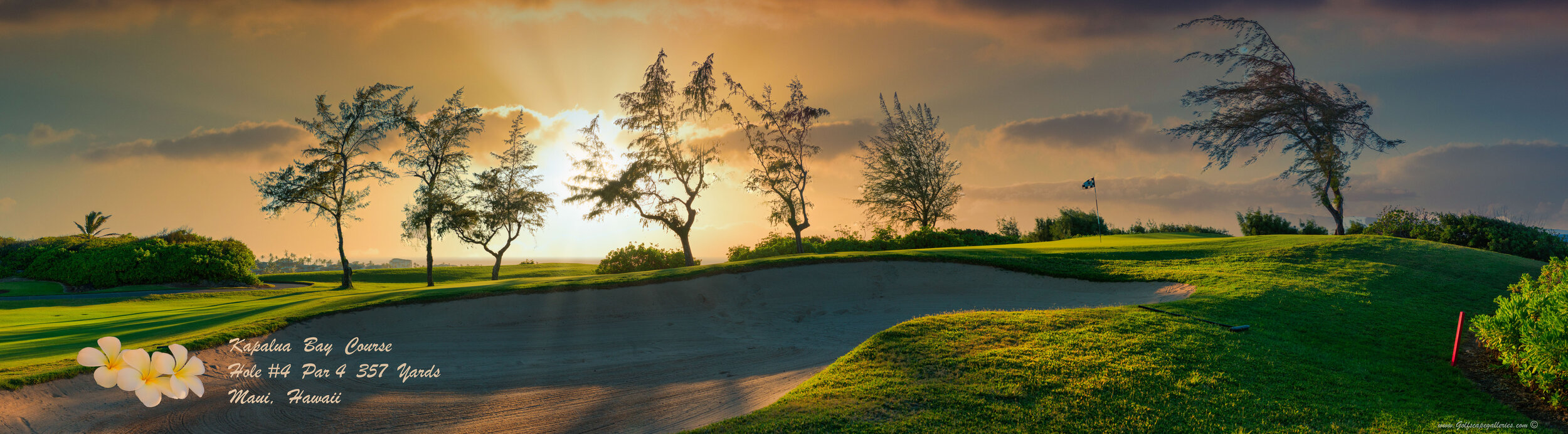 KapaluaBayGolfCourse-4-2-02.jpg