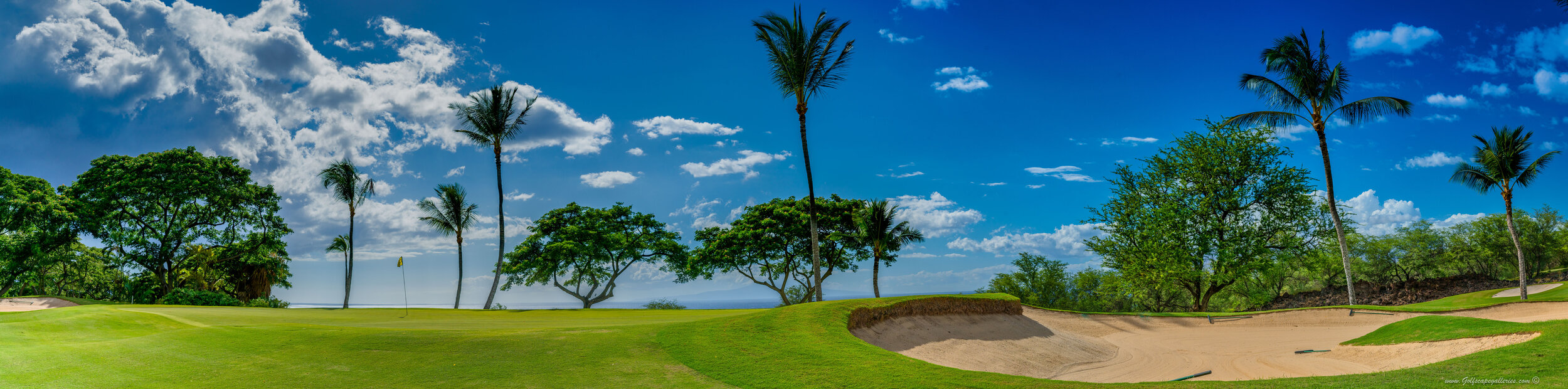 WaileaGolfCourse-Emerald-01.jpg