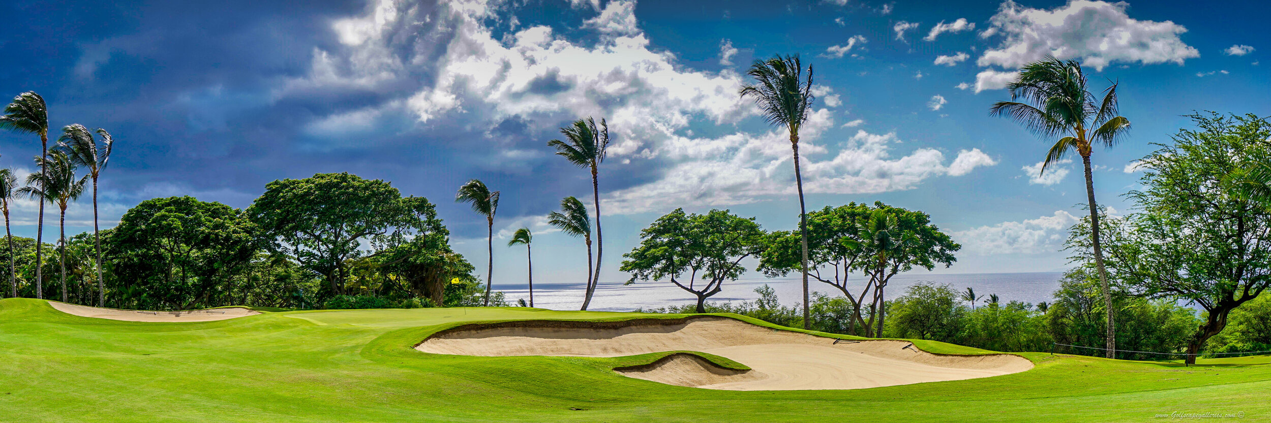 WaileaGolfCourse-Emerald-4-01.jpg