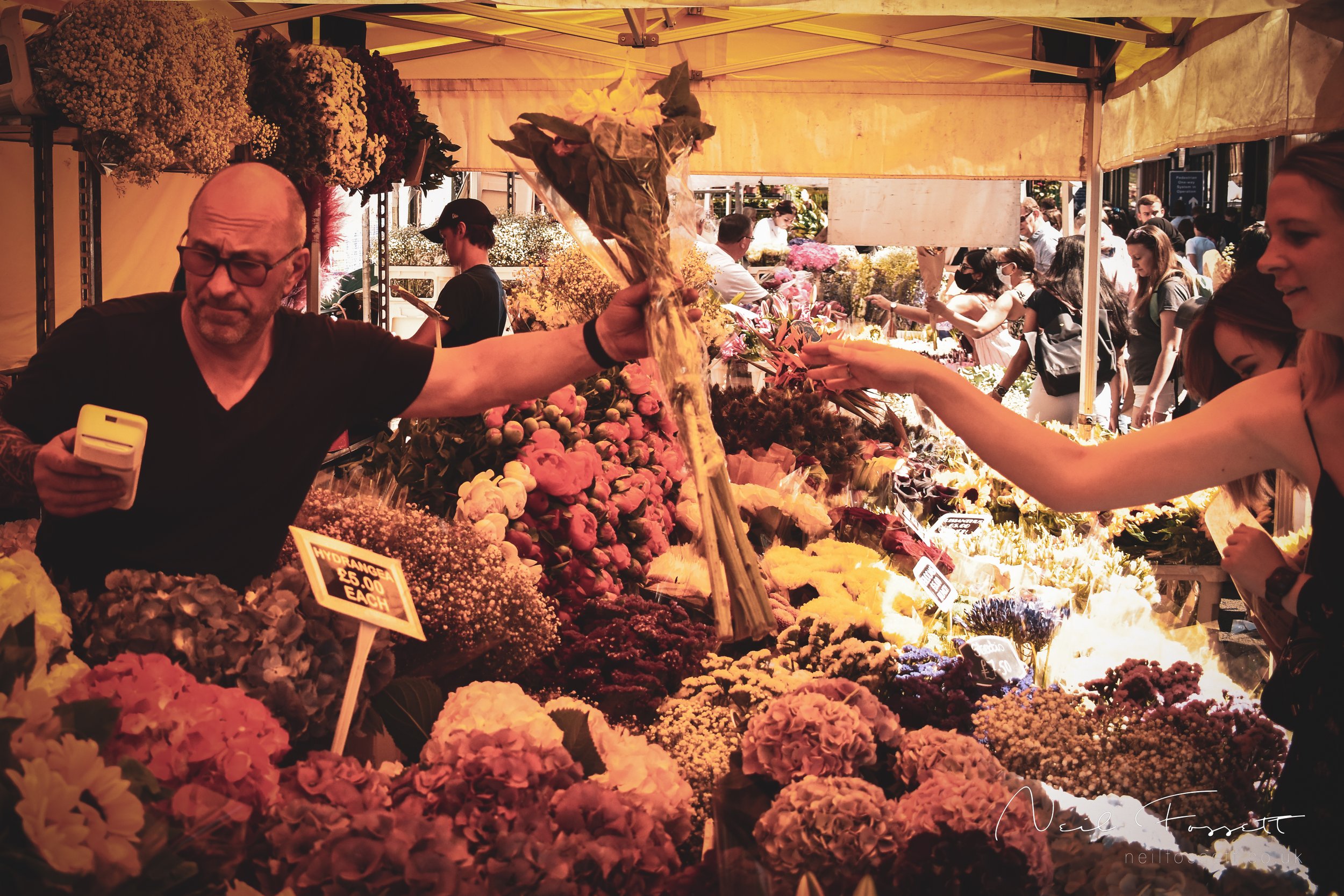 News From Columbia Road Flower Market