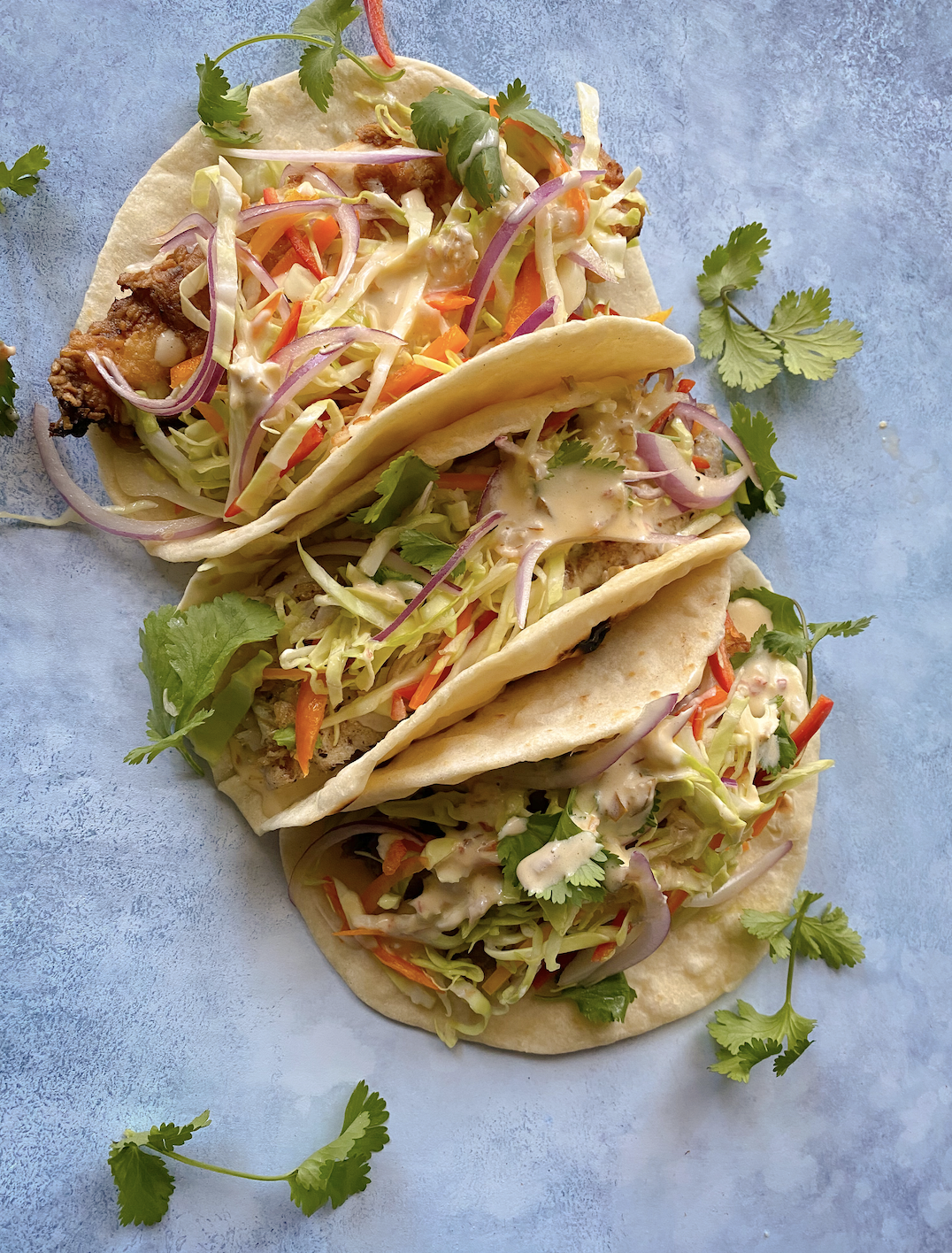 Homemade Flour Tortillas