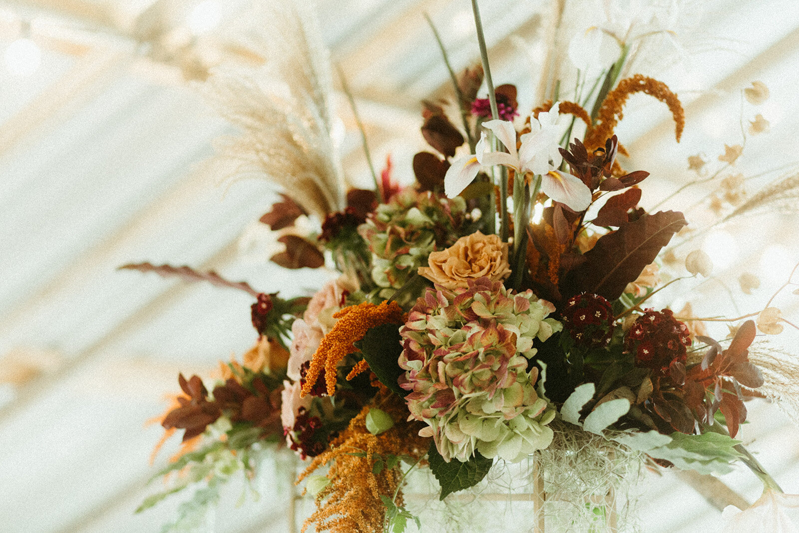 Botanica-greenhouse wedding-louisville wedding florist-fall wedding-dreamy flowers.jpg