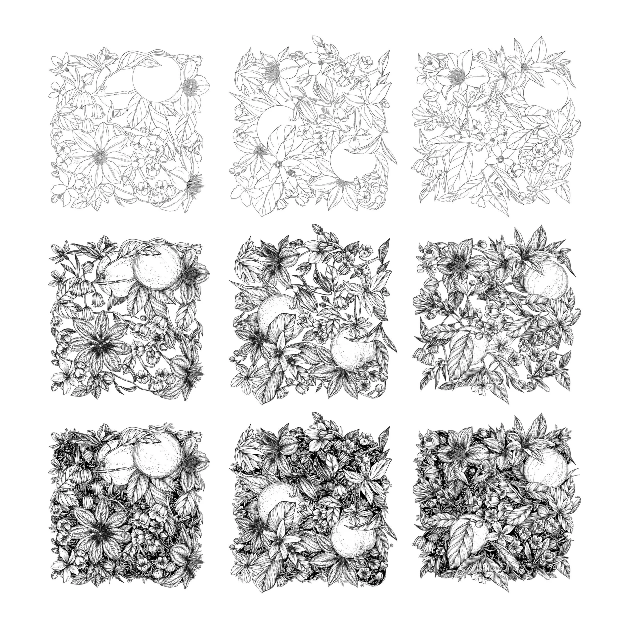 The artwork for Arcadia products by Beekman 1802 by Maggie Enterrios