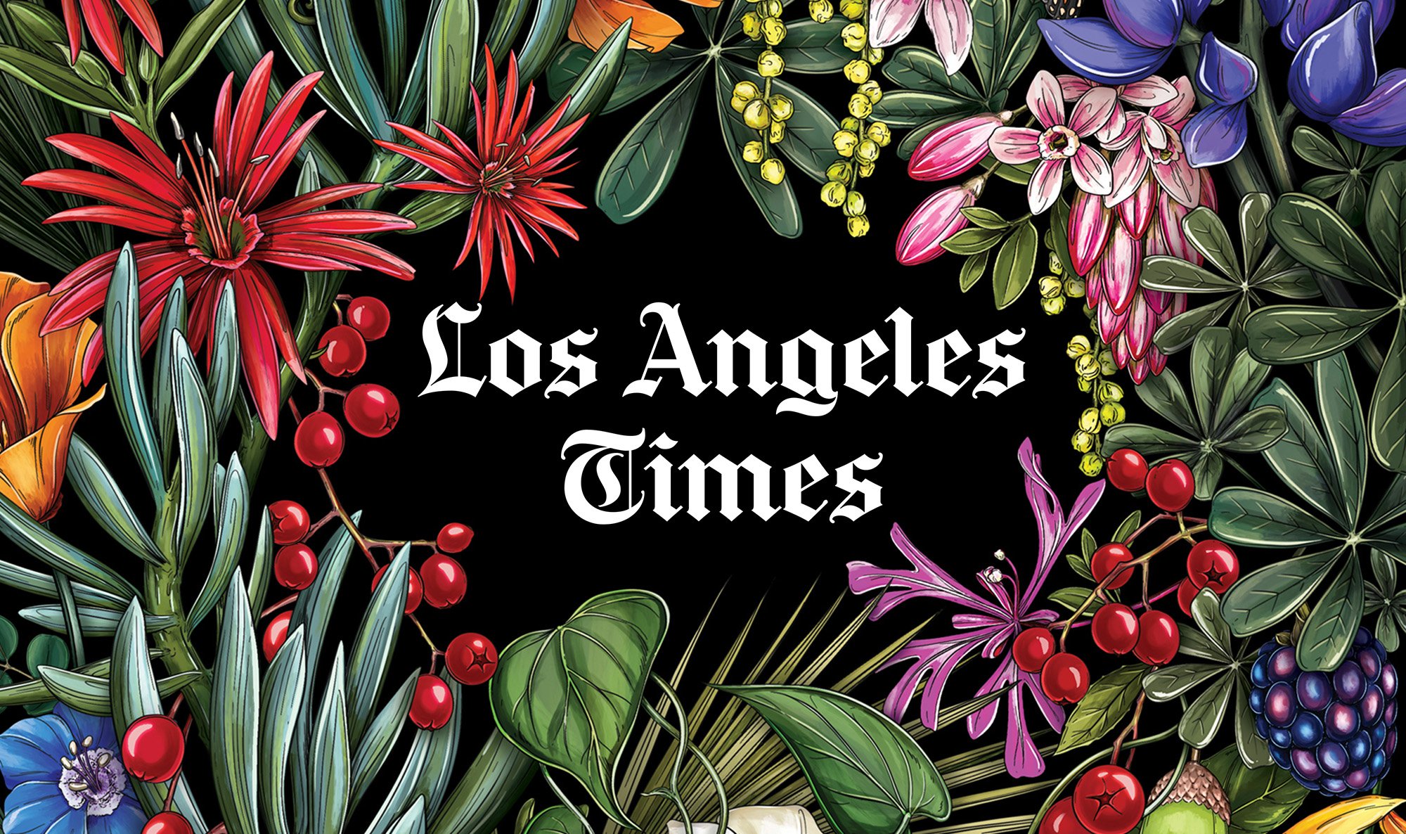 Los Angeles Times Cover Design by Maggie Enterrios