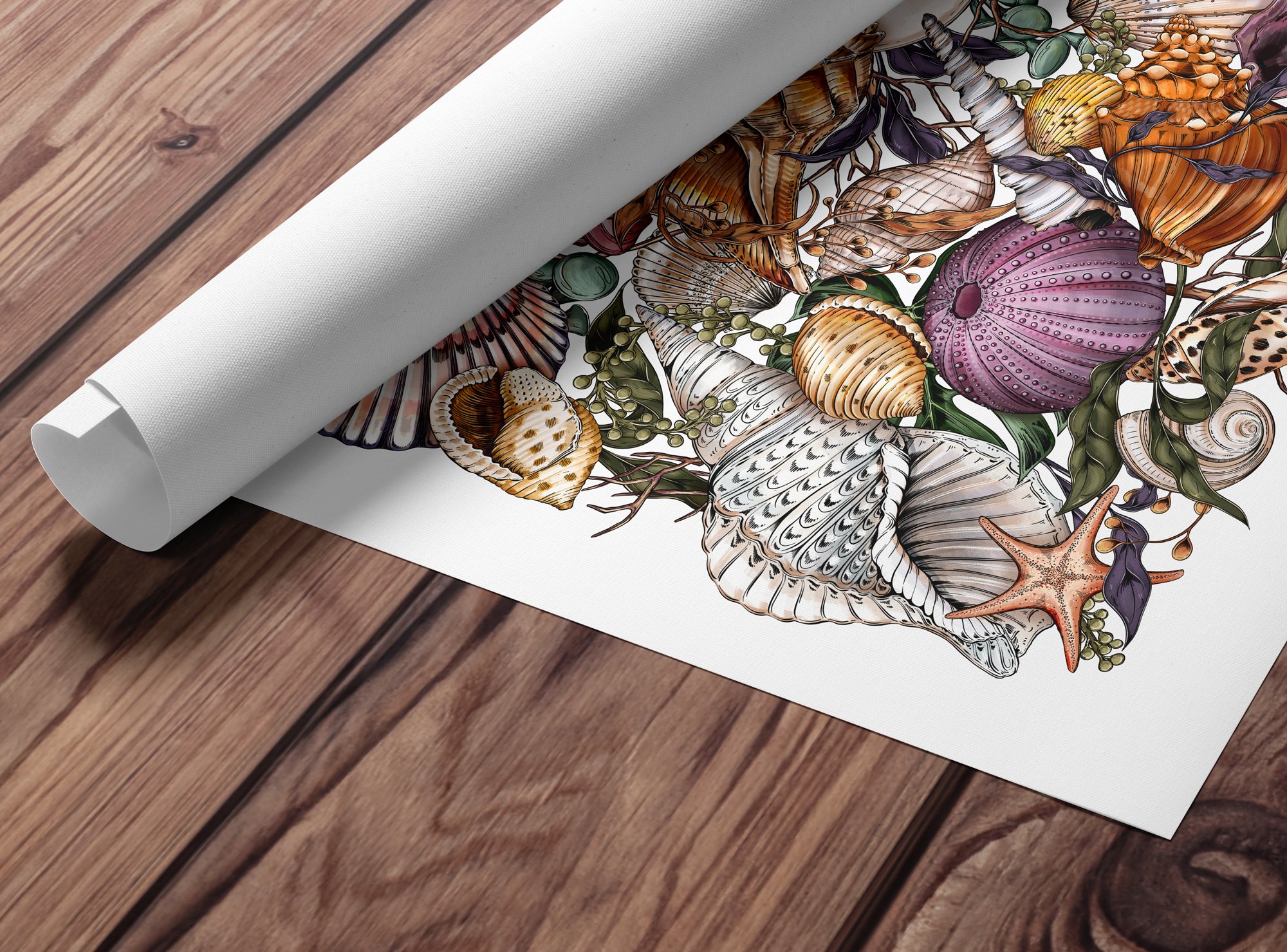 Rolled-print-shells.jpg
