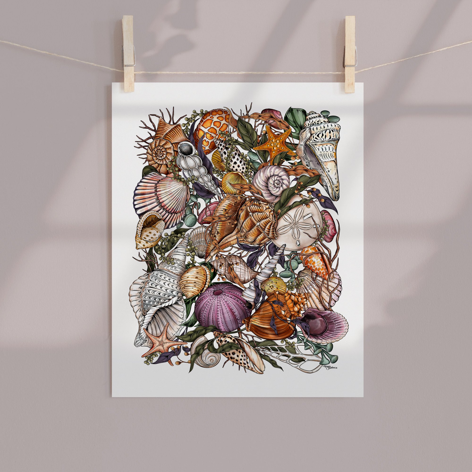 Shell-hanging-print.jpg