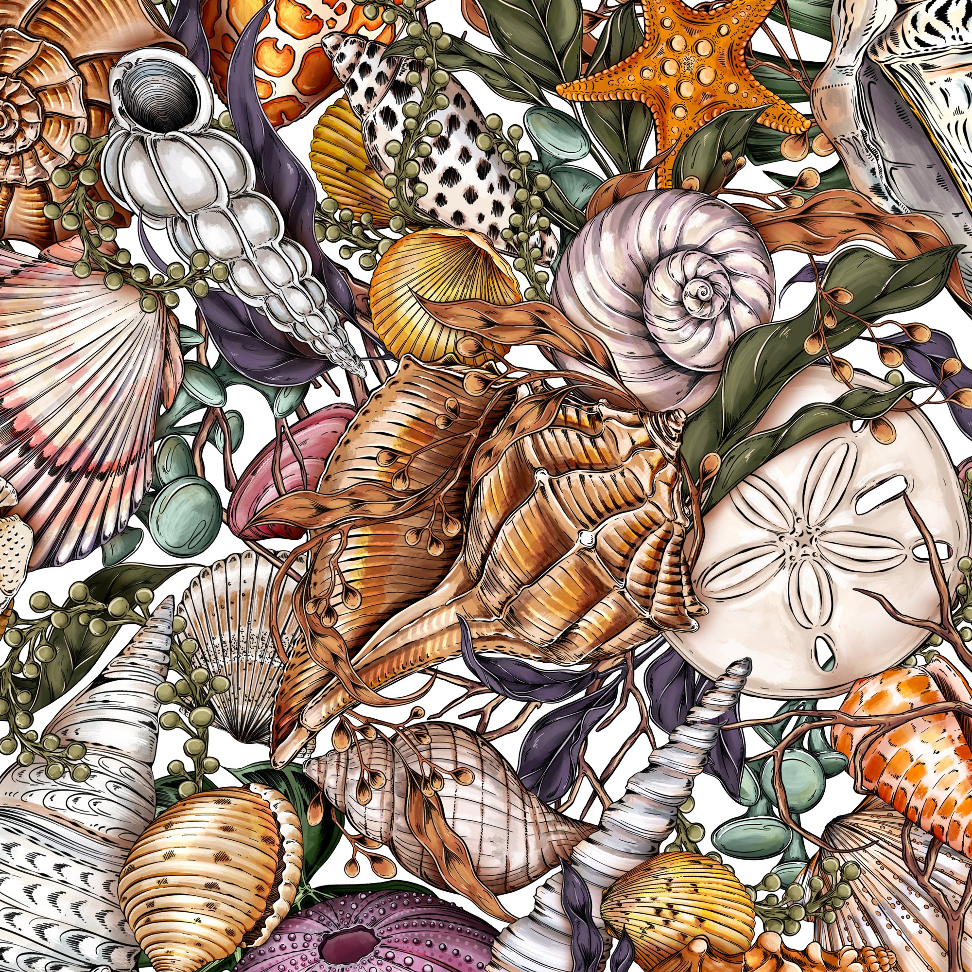 Shell-print-closeup.jpg