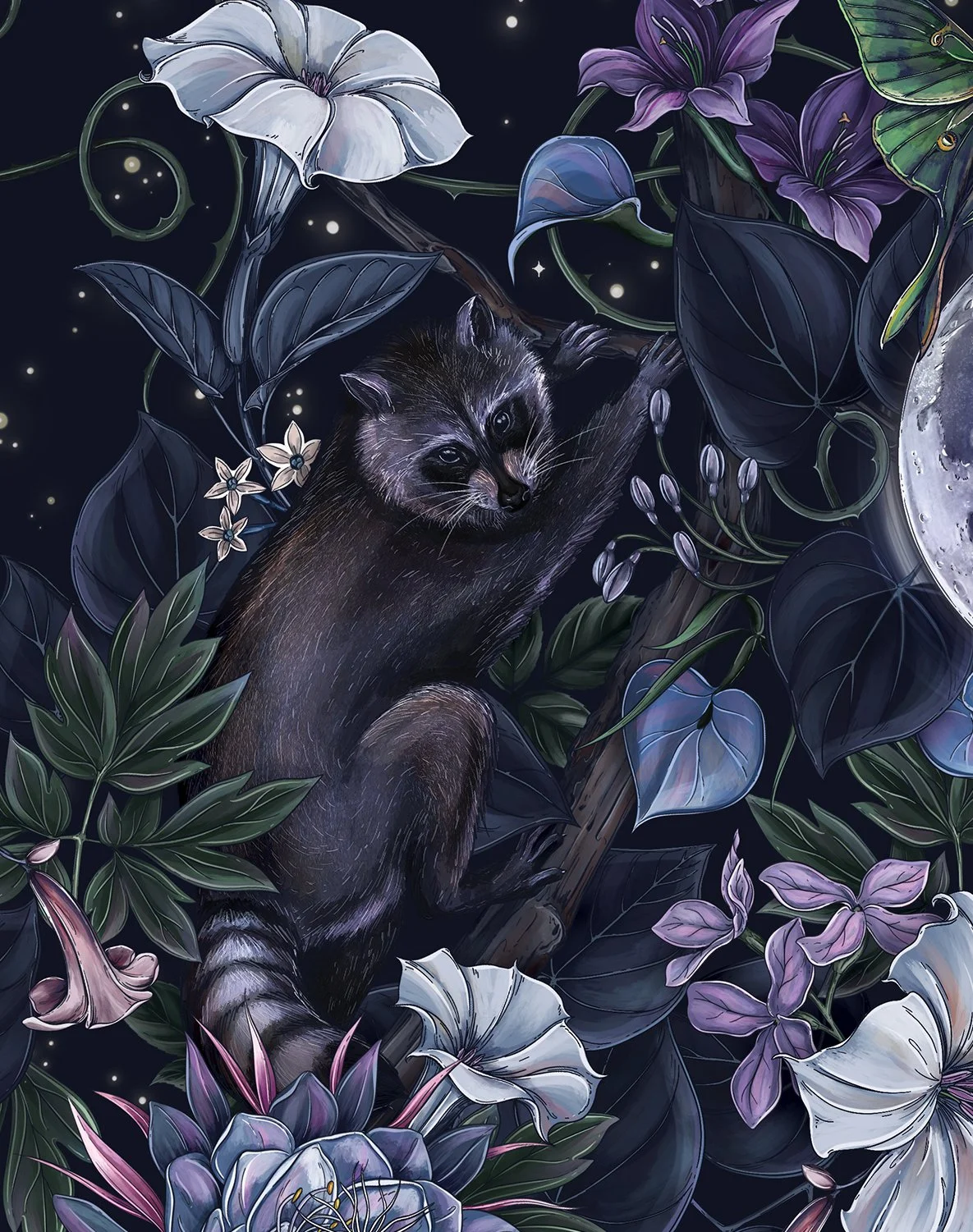 frame3Maggie-Enterrios-Nature-Conservancy-Moon-illustration-2.jpg