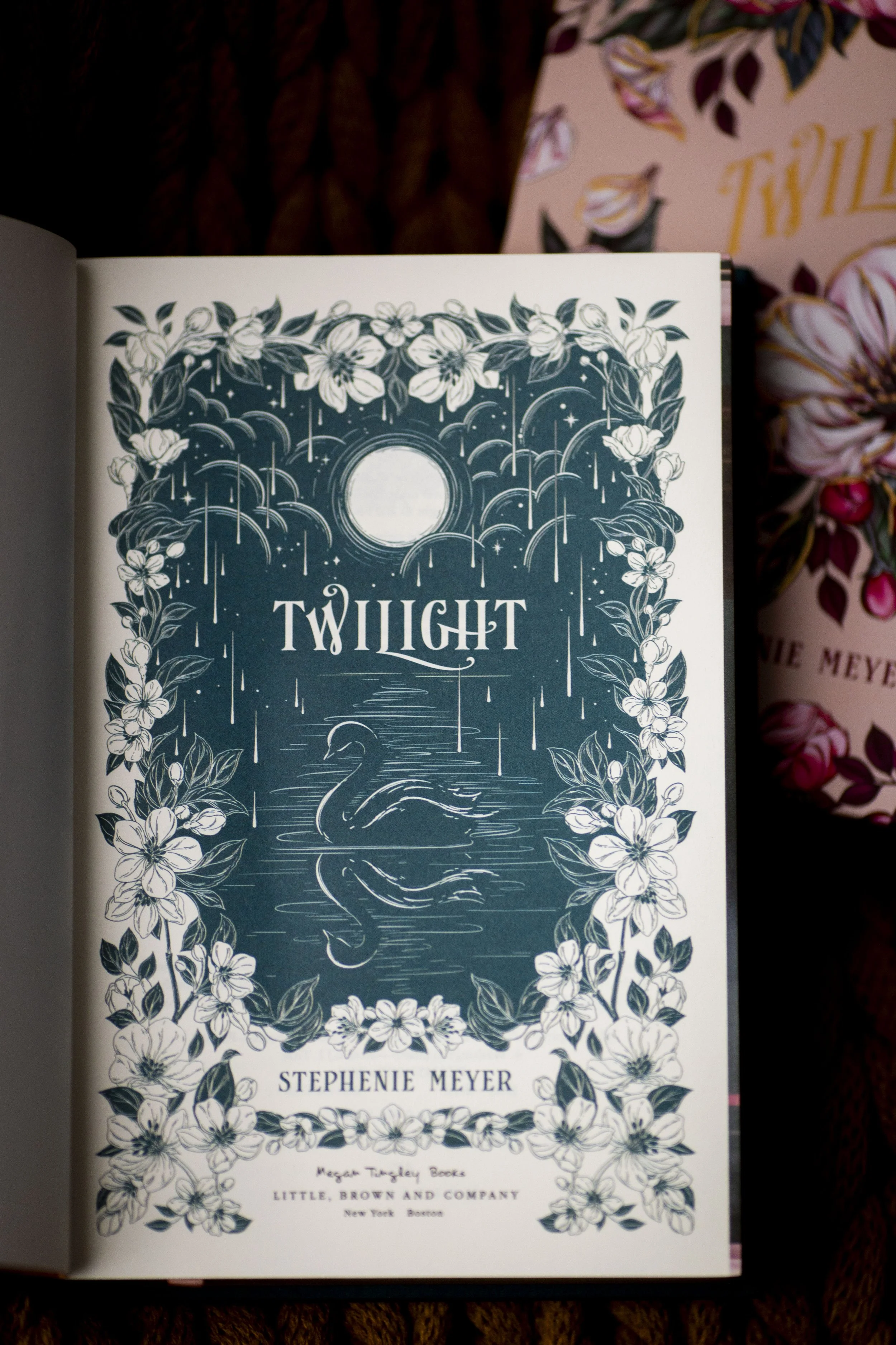 twilight_maggie_book-barlow-9713.jpg