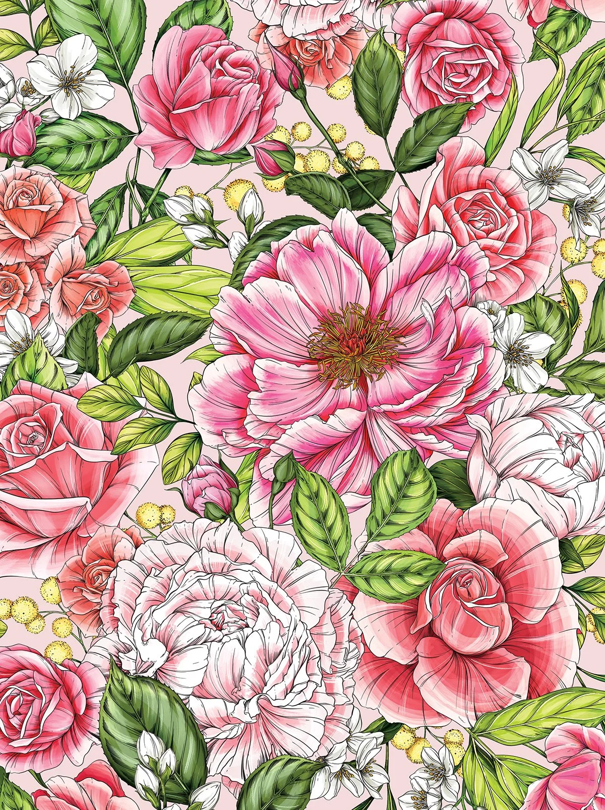 modern botanical illustration by packaging artist Maggie Enterrios